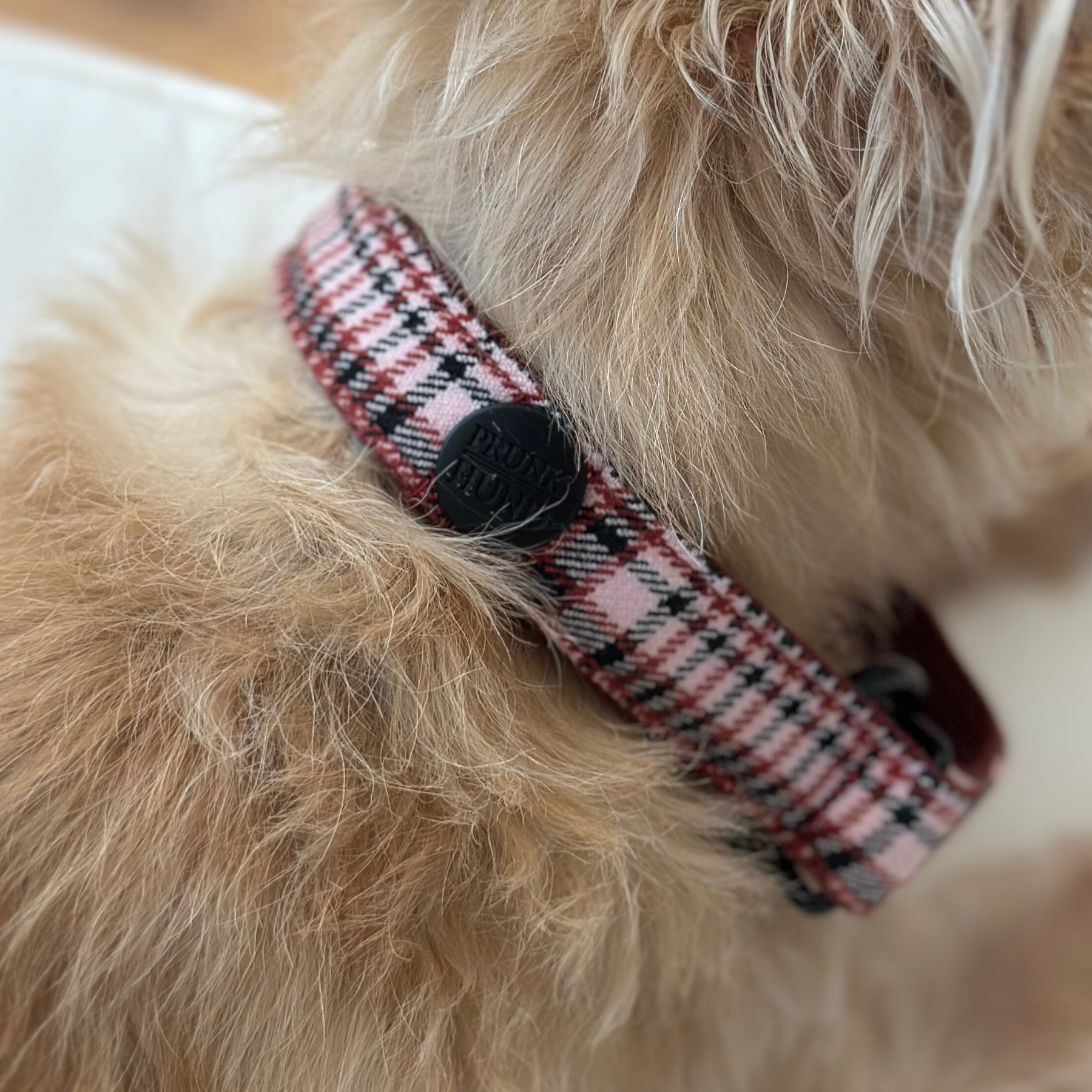 URBAN martingale dog collar