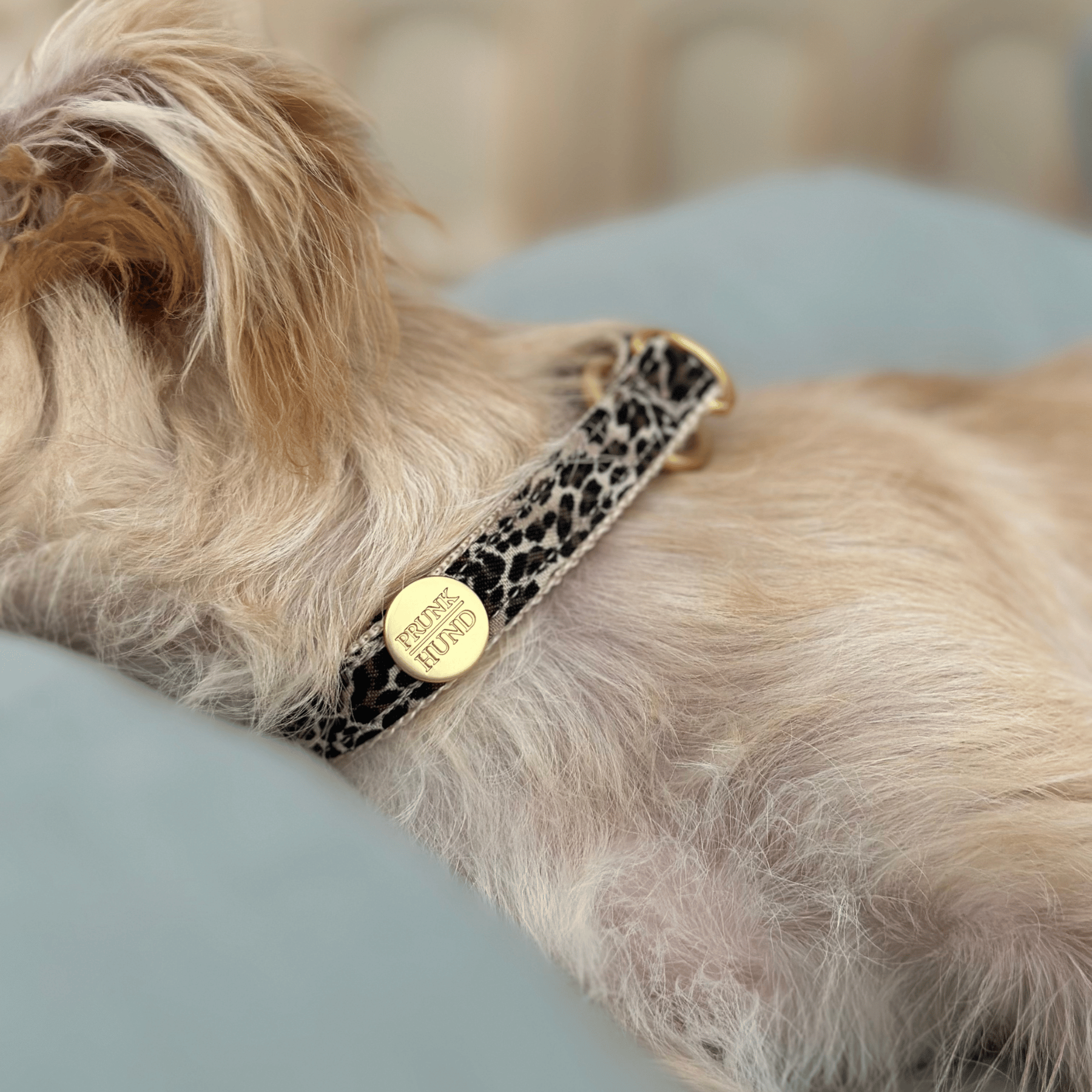 martingale collar WILD LIFE