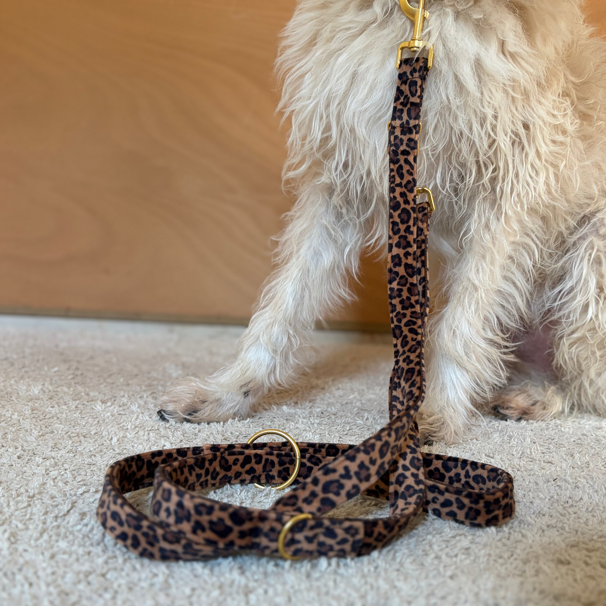 WILD LIFE leash