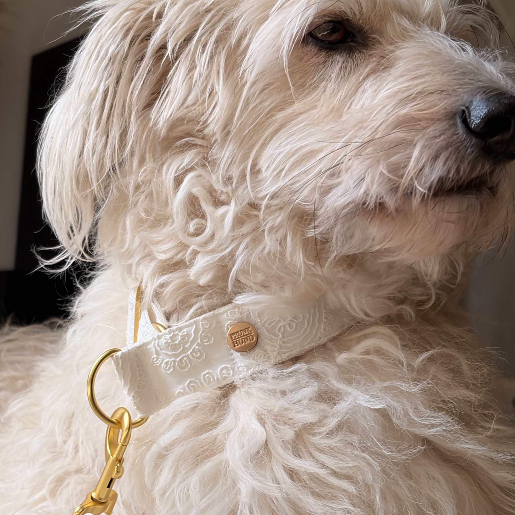 Zugstopp Halsband IVORY