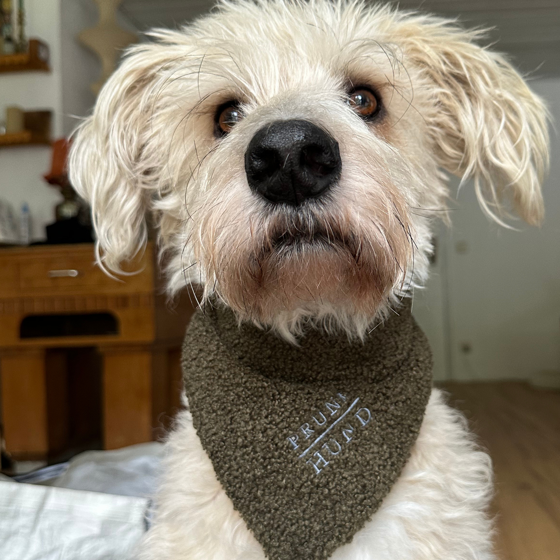 Hundehalstuch TEDDY moss