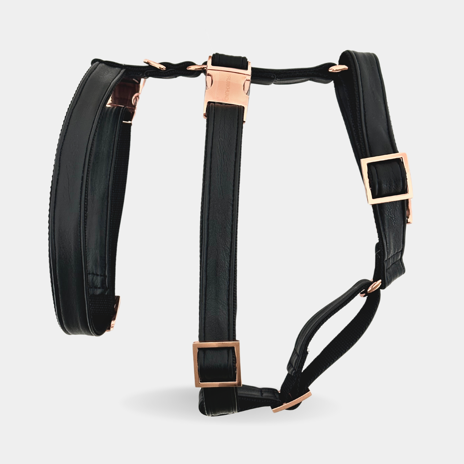 safety harness eclipse