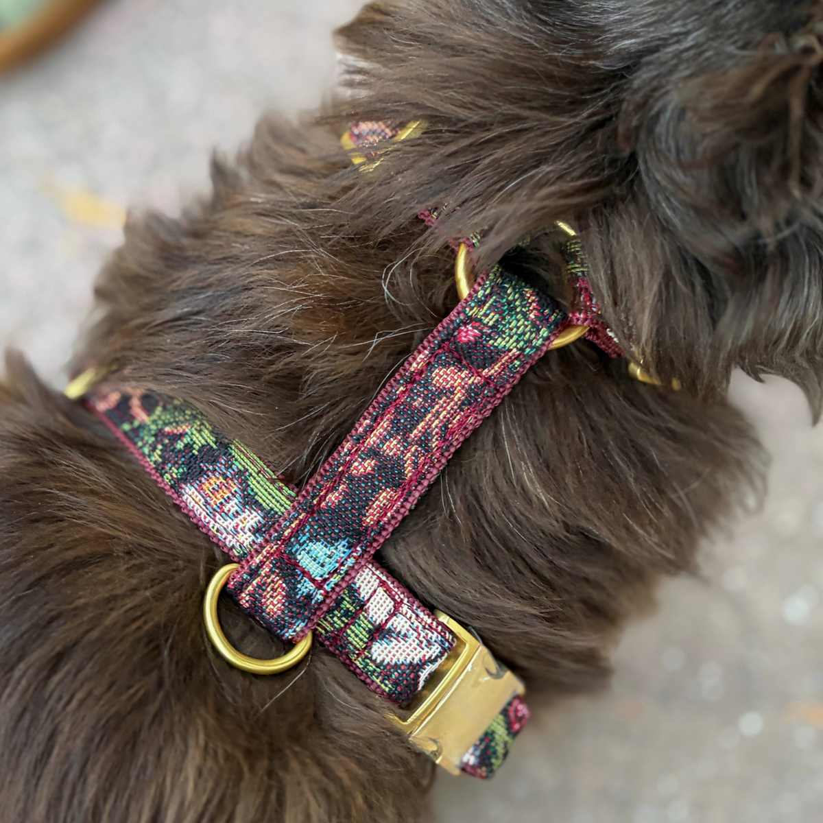 Hundegeschirr IVY