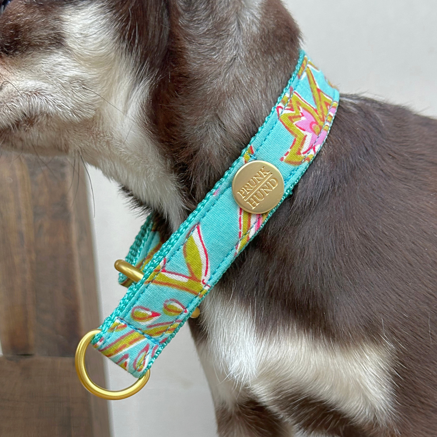 Zugstopp Halsband GOA aqua