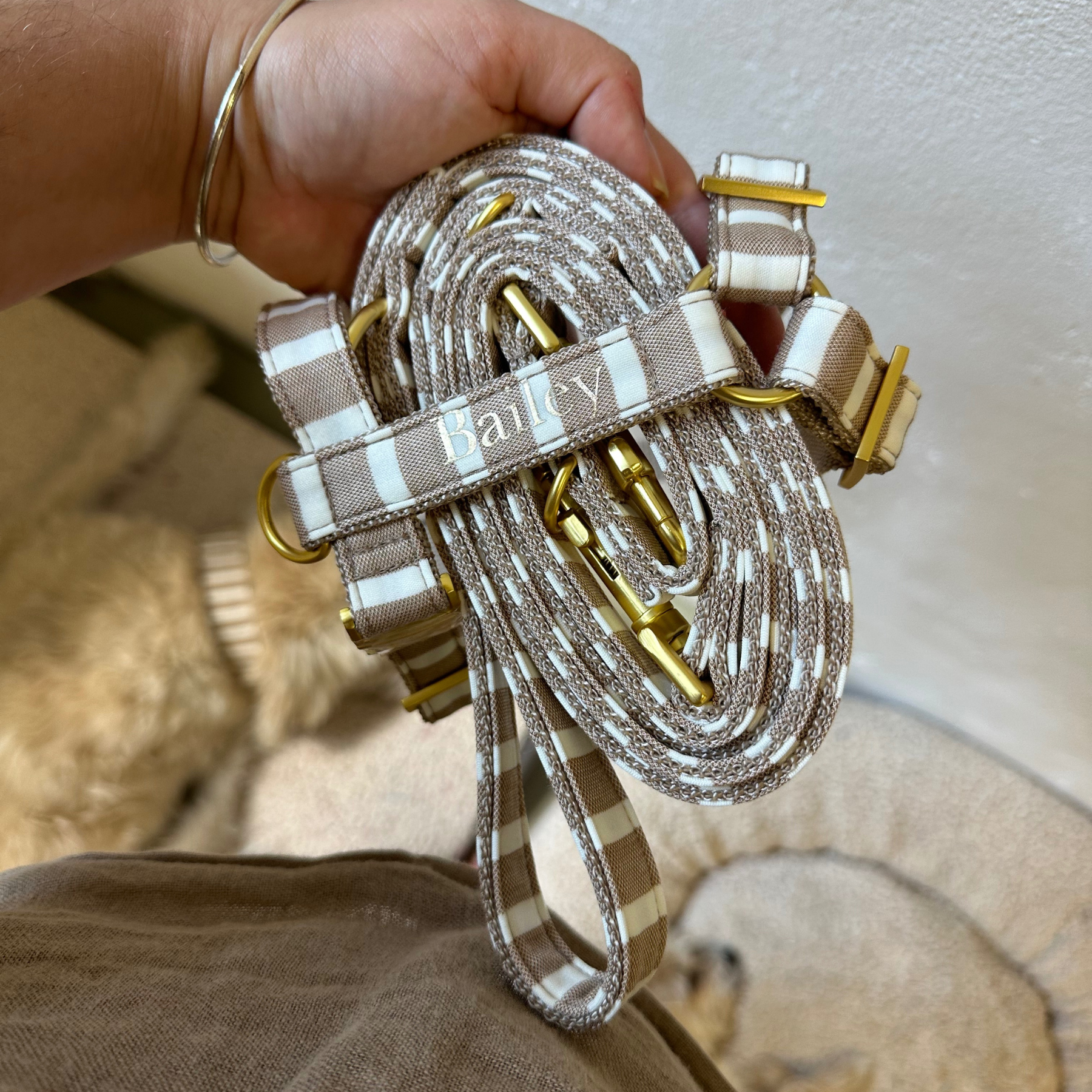 dog harness LIDO SAND