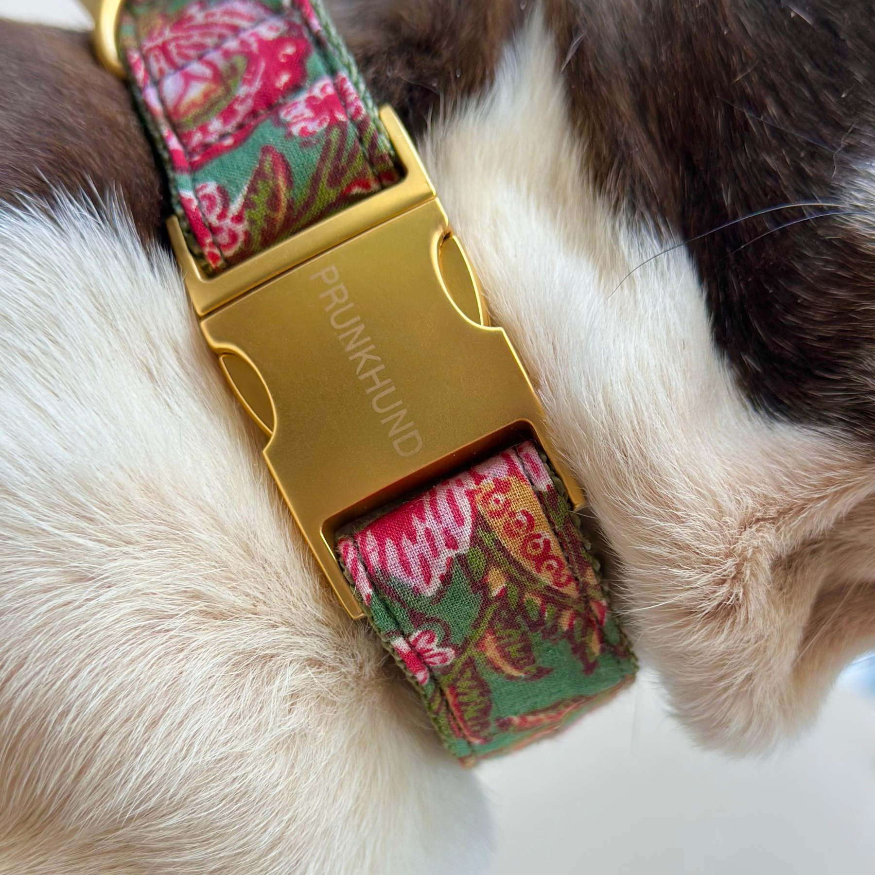GOA garden collar