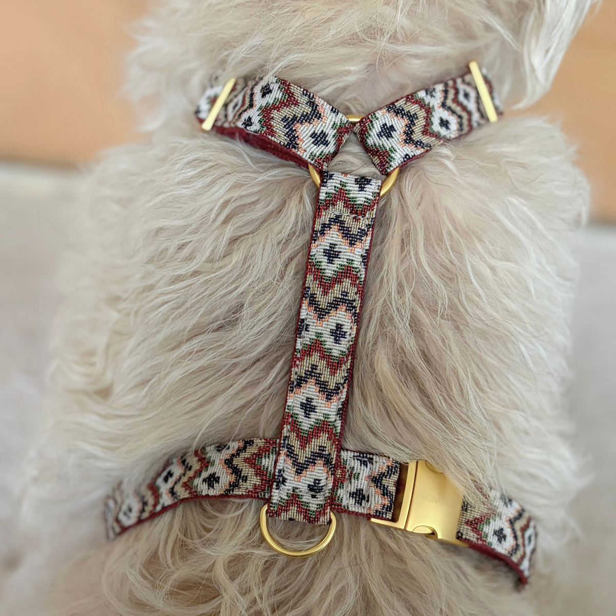 Hundegeschirr ZIGGY