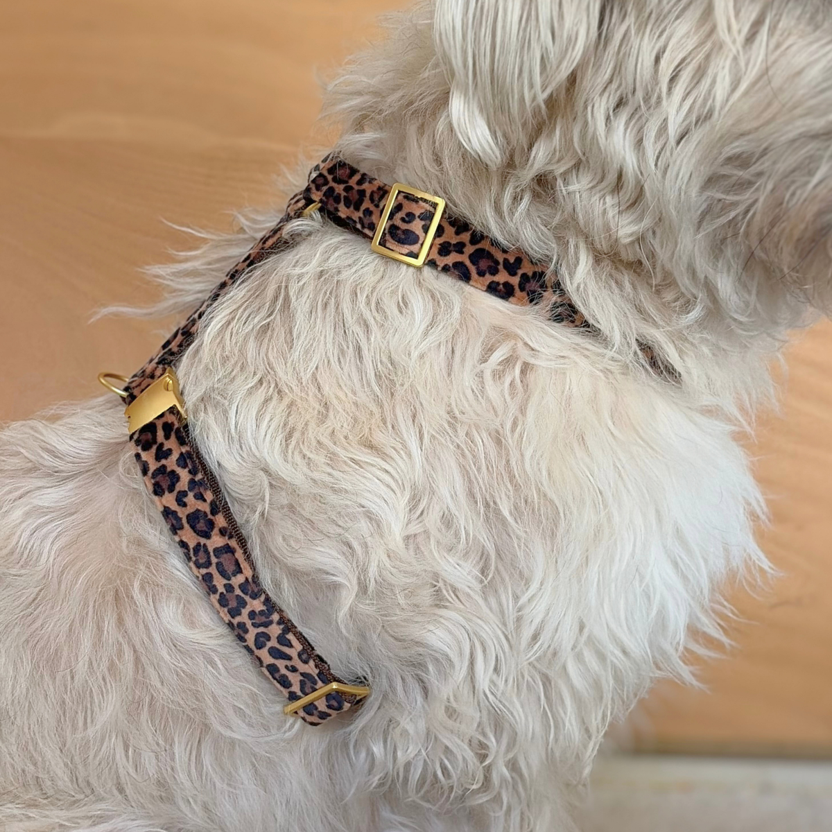 Hundegeschirr WILD VELVET