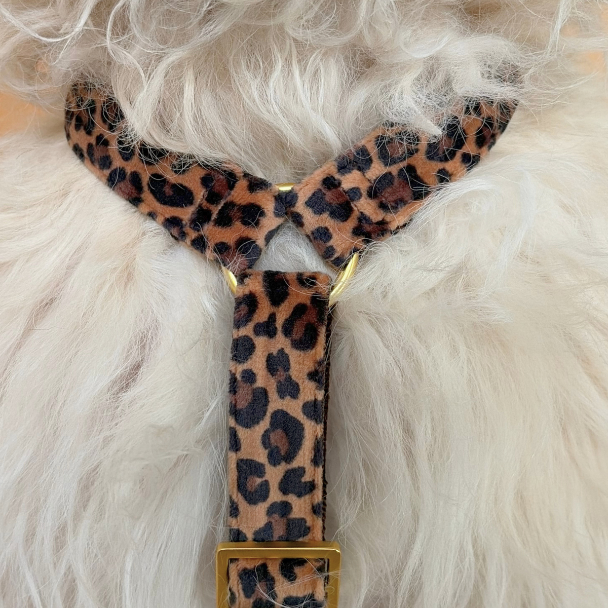 Hundegeschirr WILD VELVET