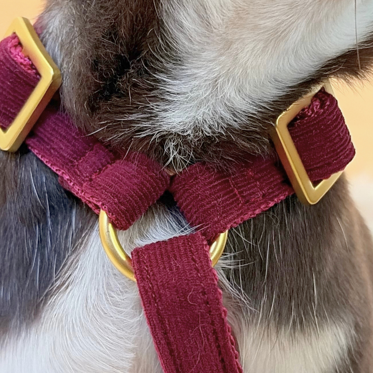Dog harness WILD LIFE