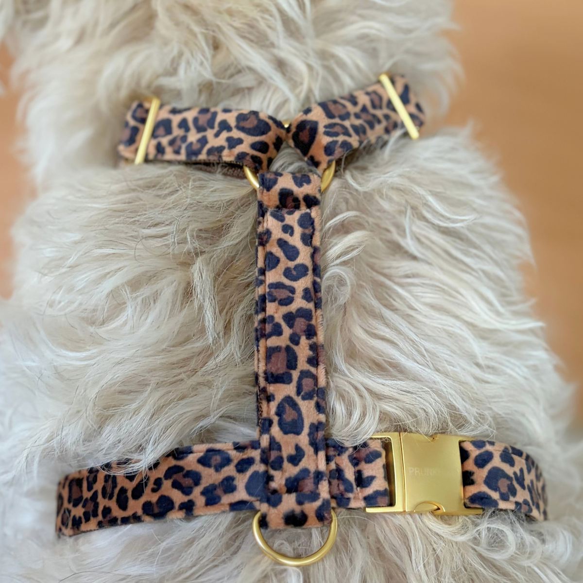 Hundegeschirr WILD VELVET