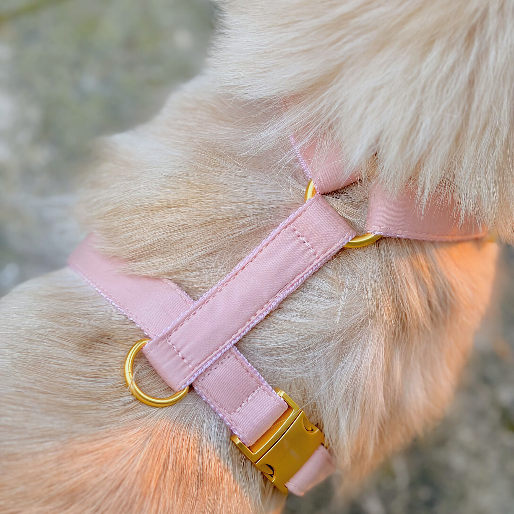 Hundegeschirr COTTON blush