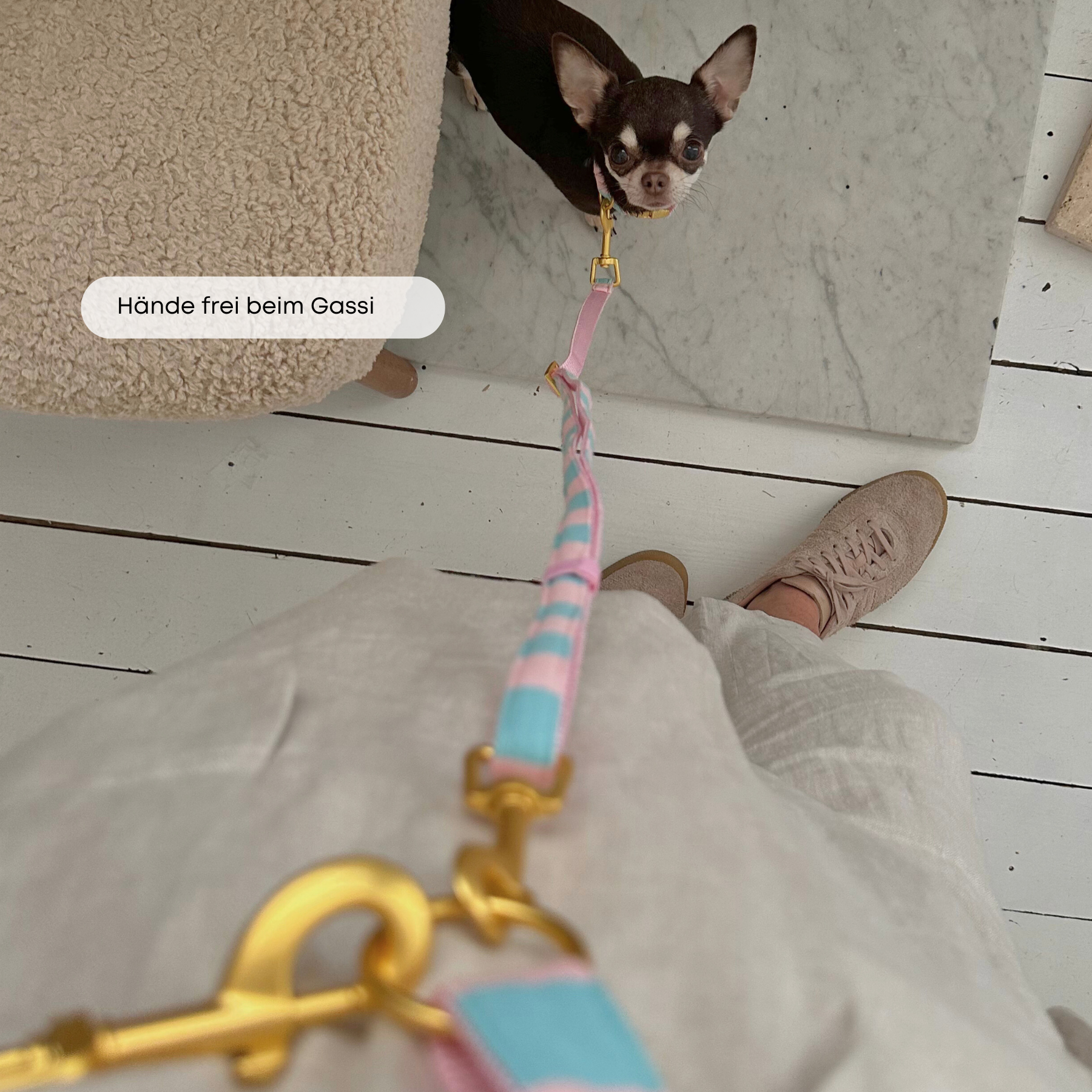 ESSENTIAL leash CANDY