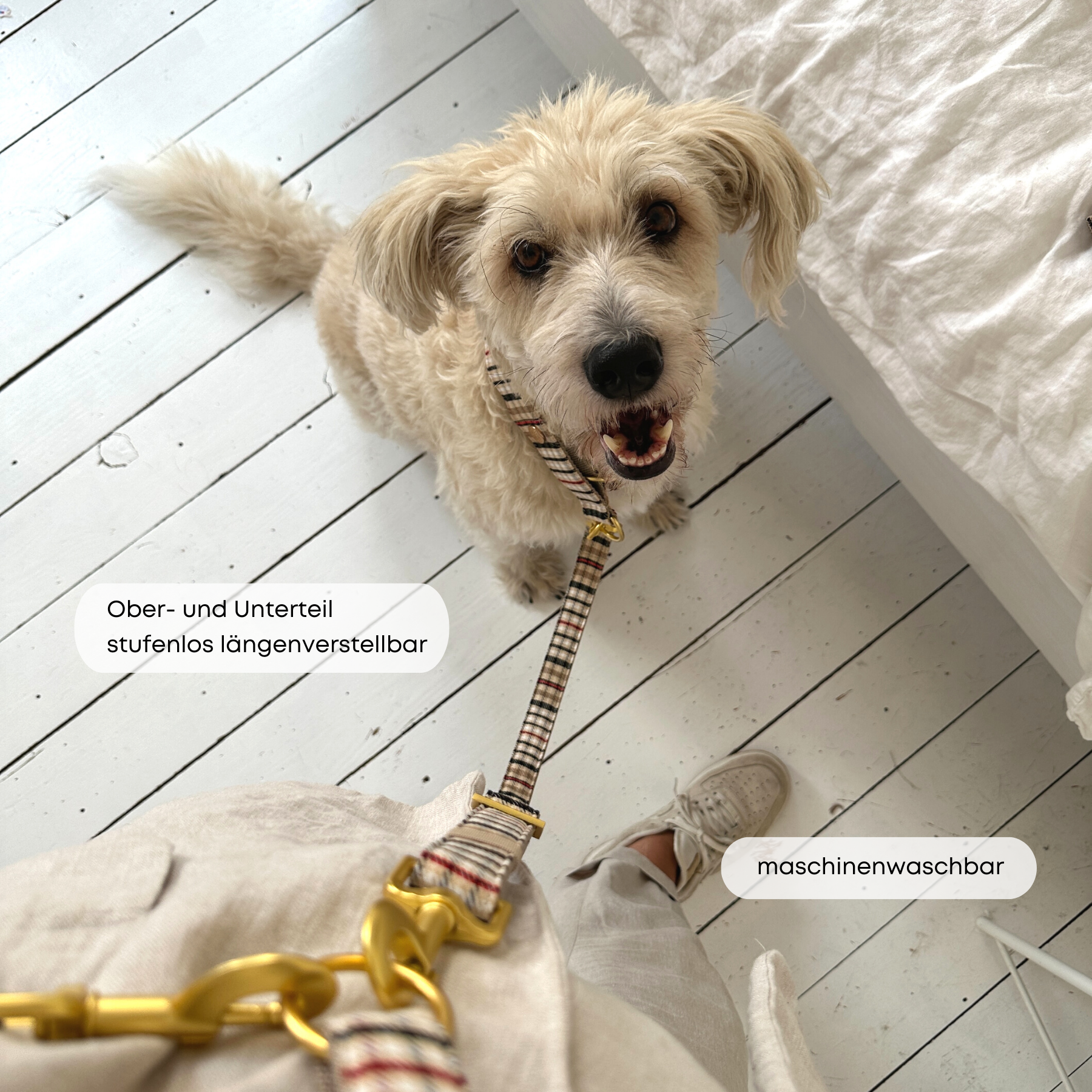 ESSENTIAL leash CLASSIC
