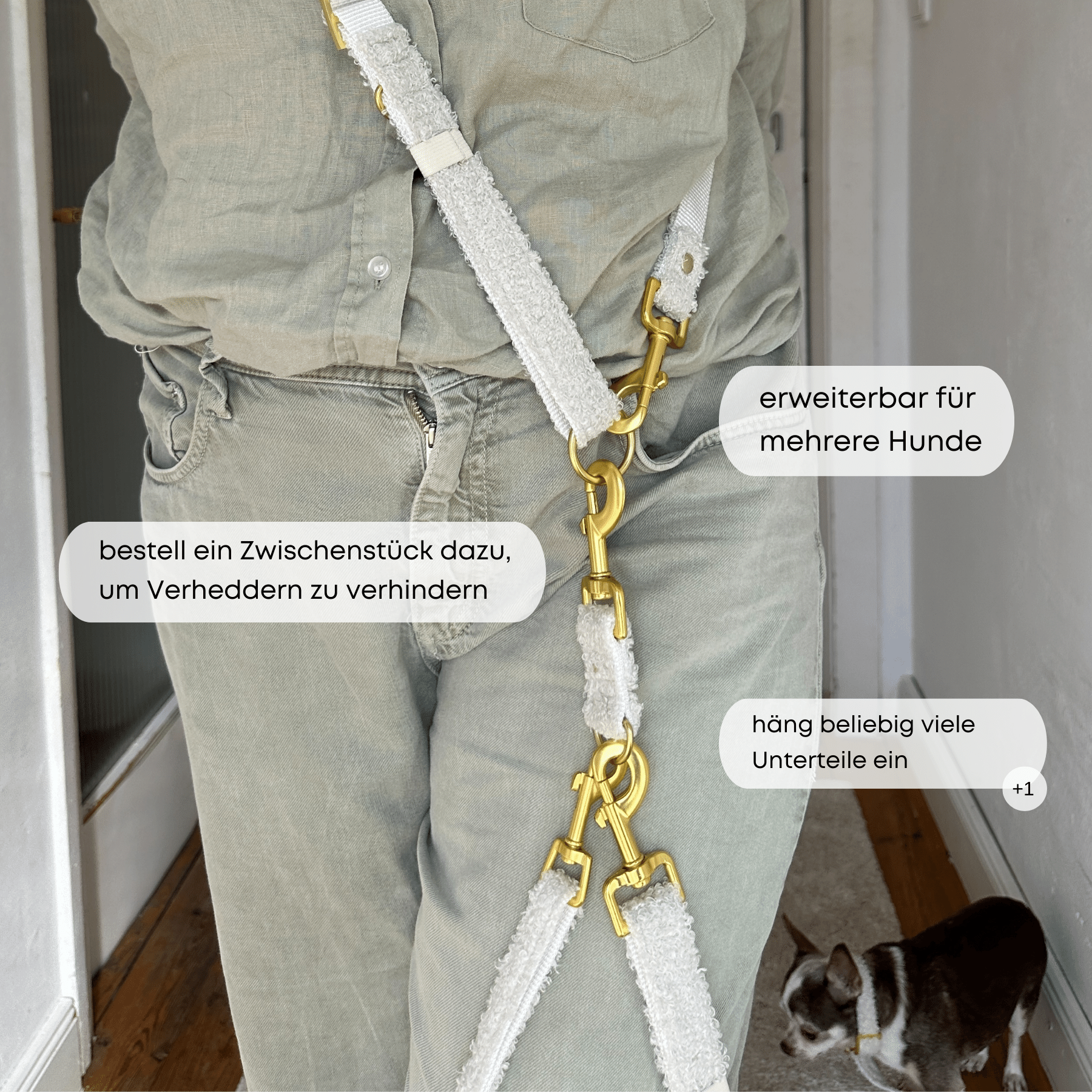 ESSENTIAL additional leash TEDDY cream