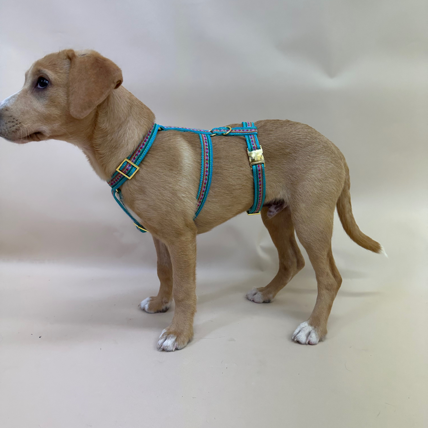 safety harness Ibiza mint
