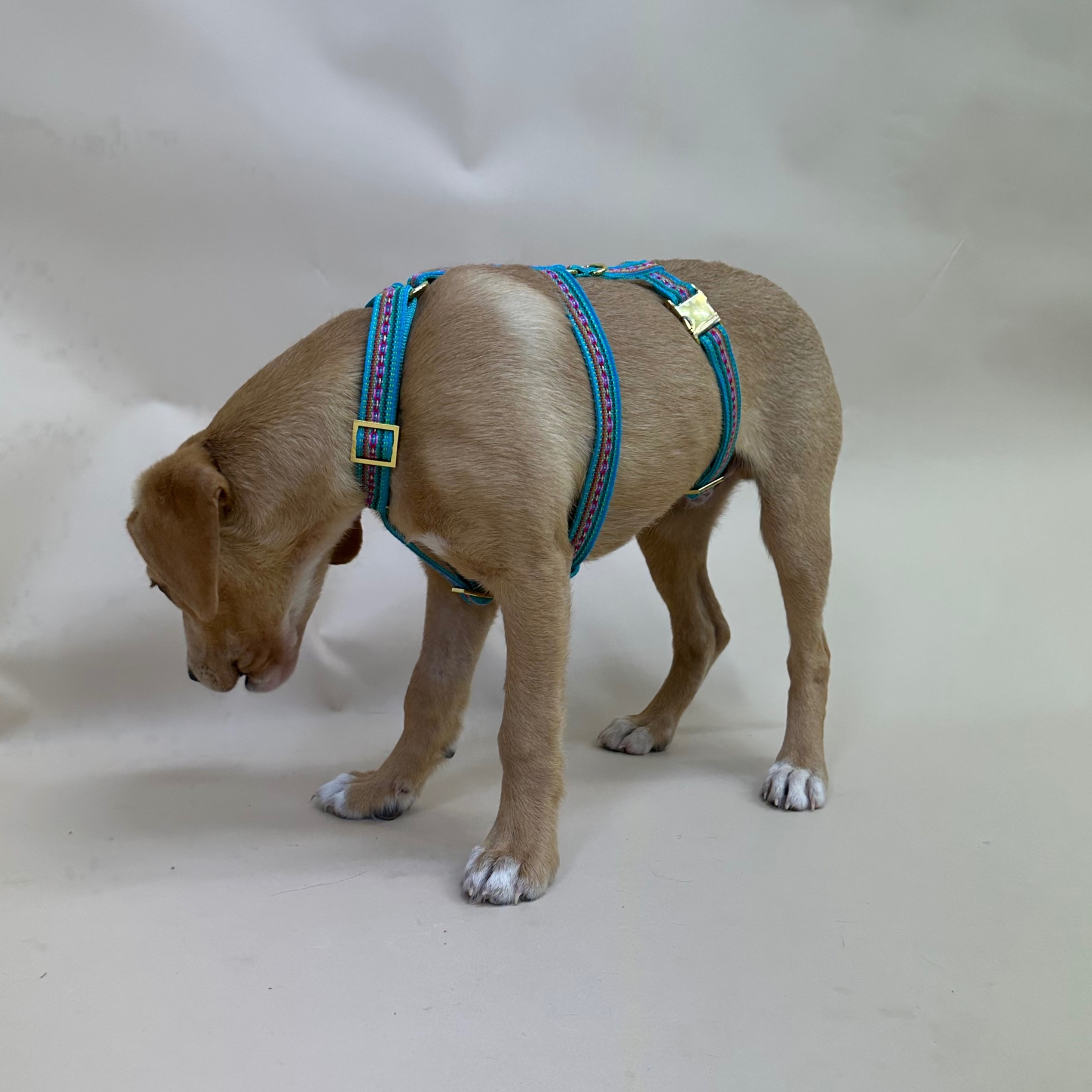 safety harness Ibiza mint