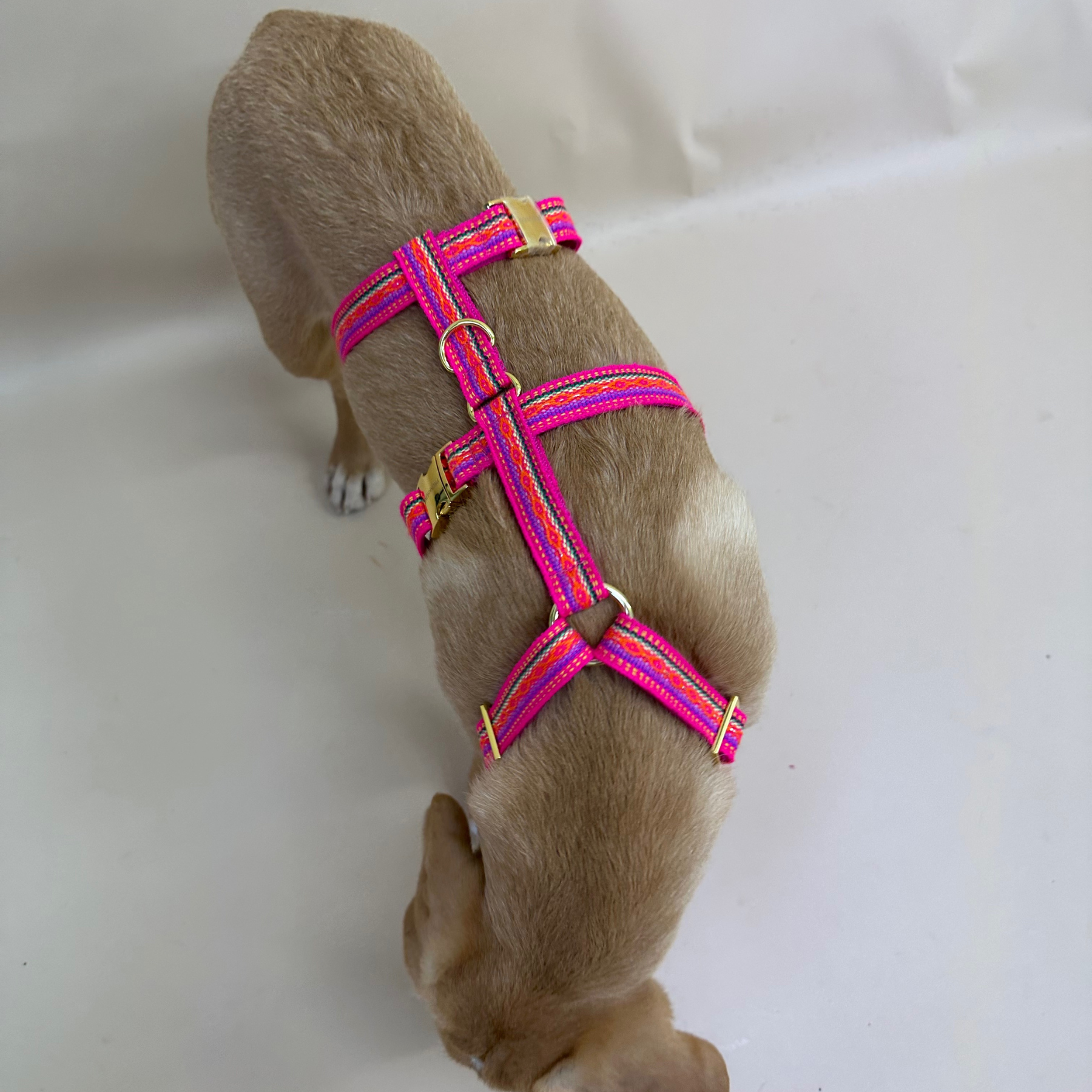 safety harness IBIZA pink