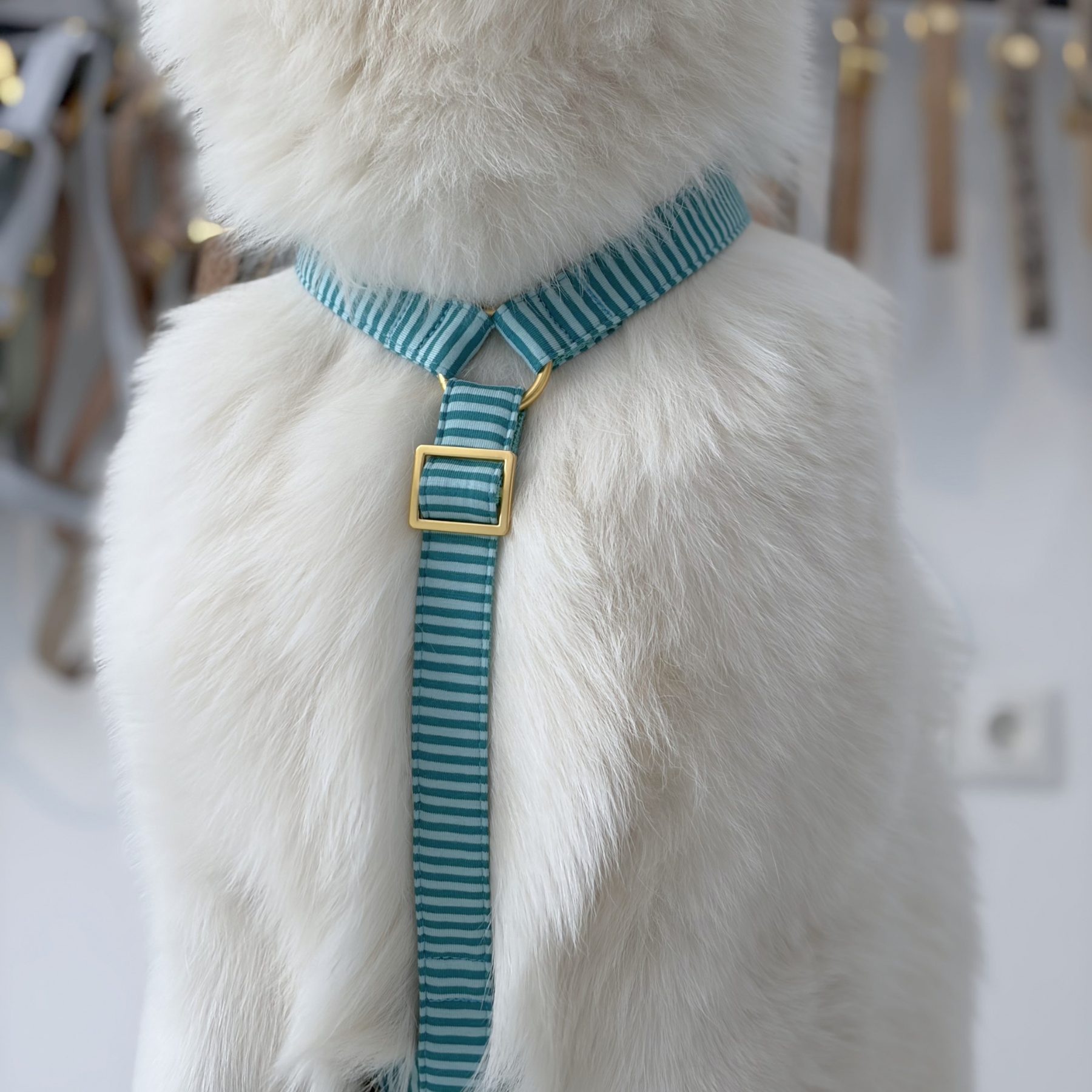 Hundegeschirr RIVIERA mint