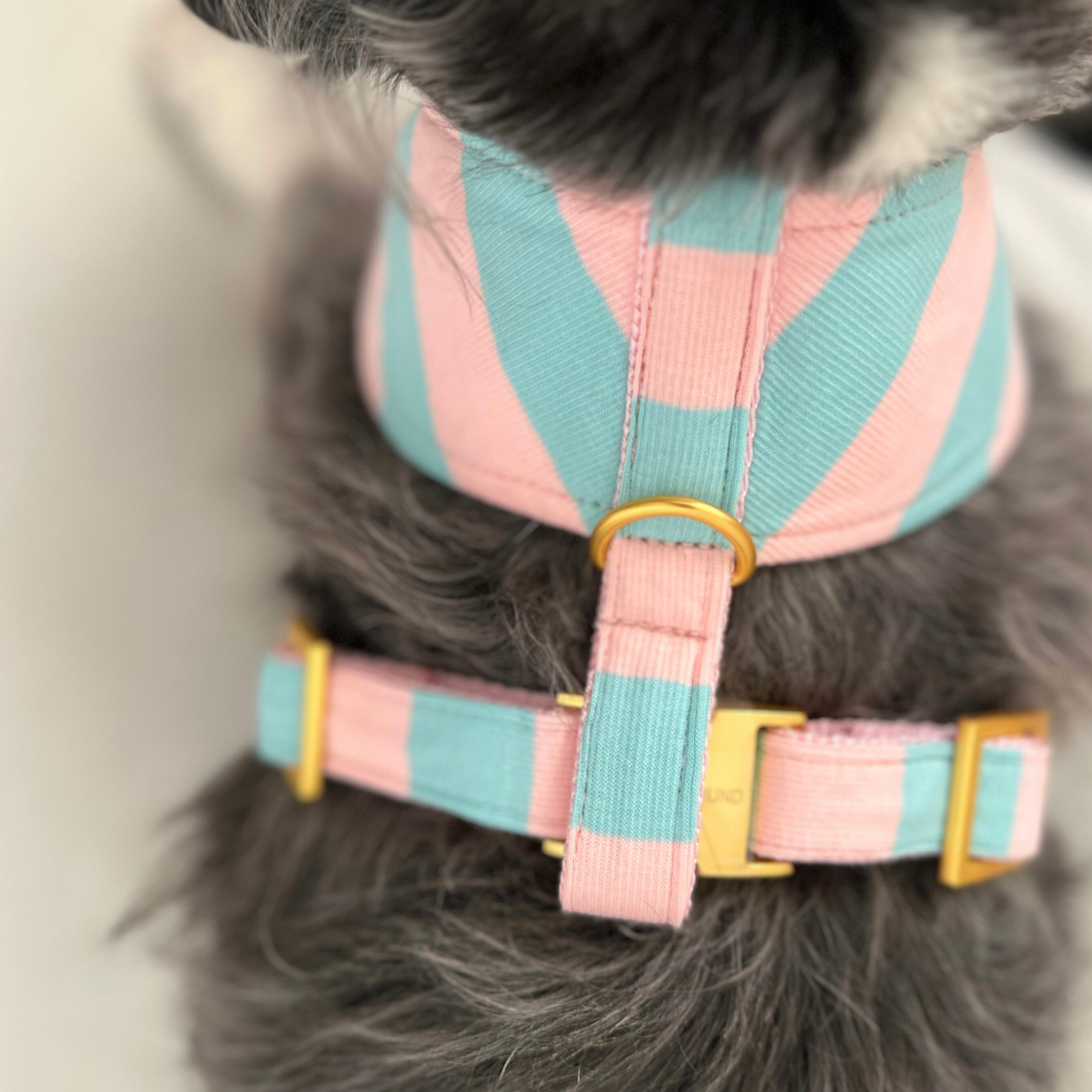CANDY SOFT HARNESS