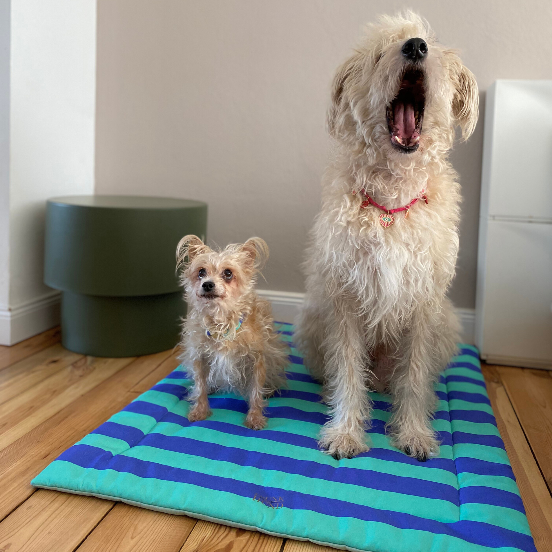 Hundedecke CAPRI mint