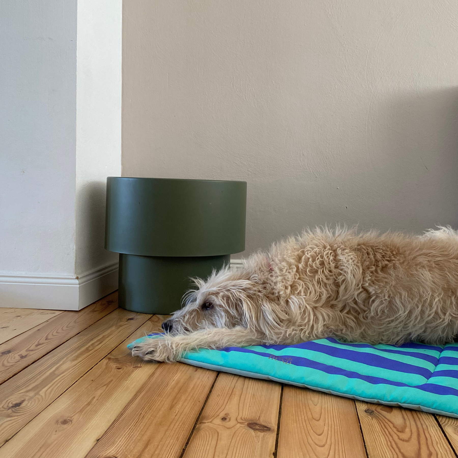 Hundedecke CAPRI mint
