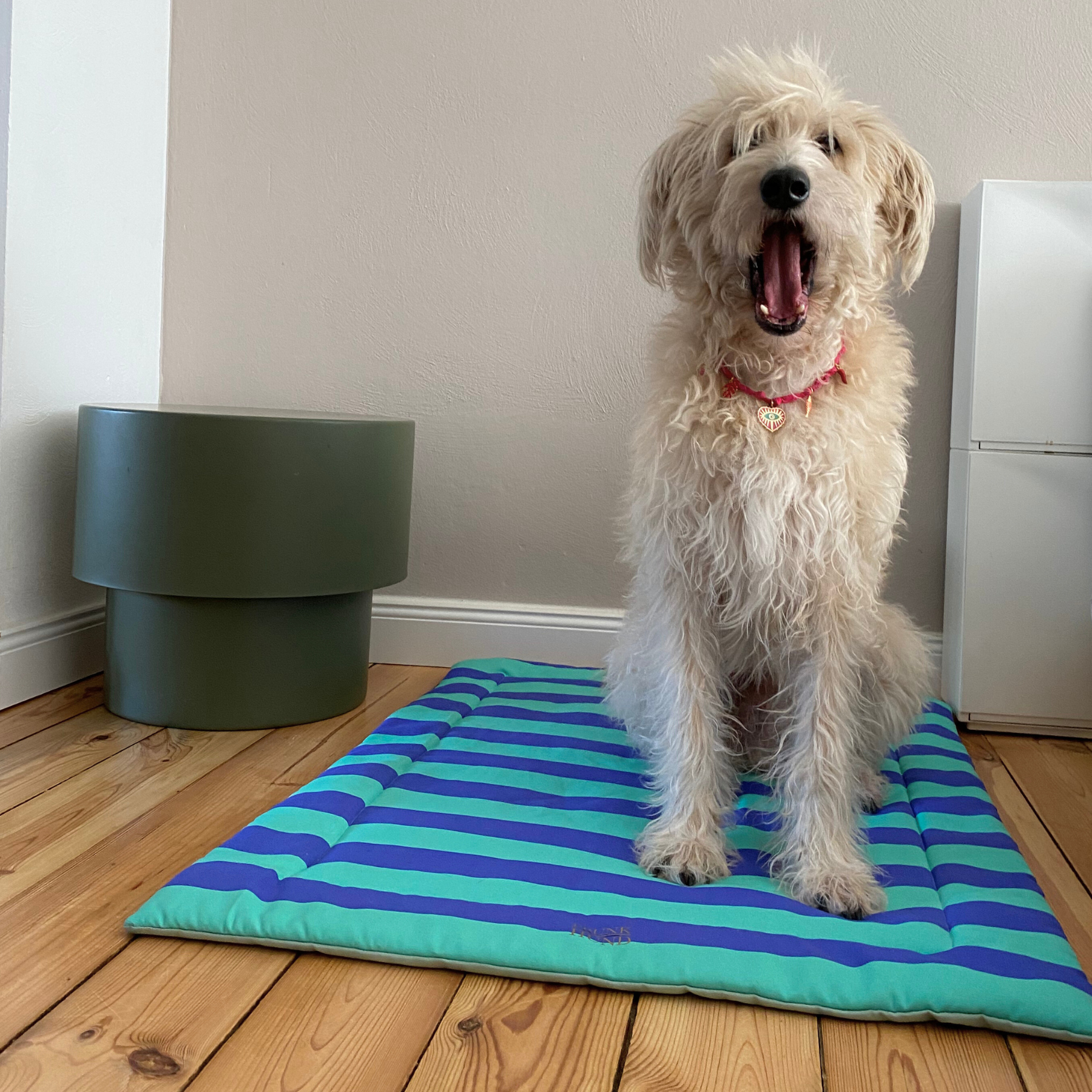 Hundedecke CAPRI mint