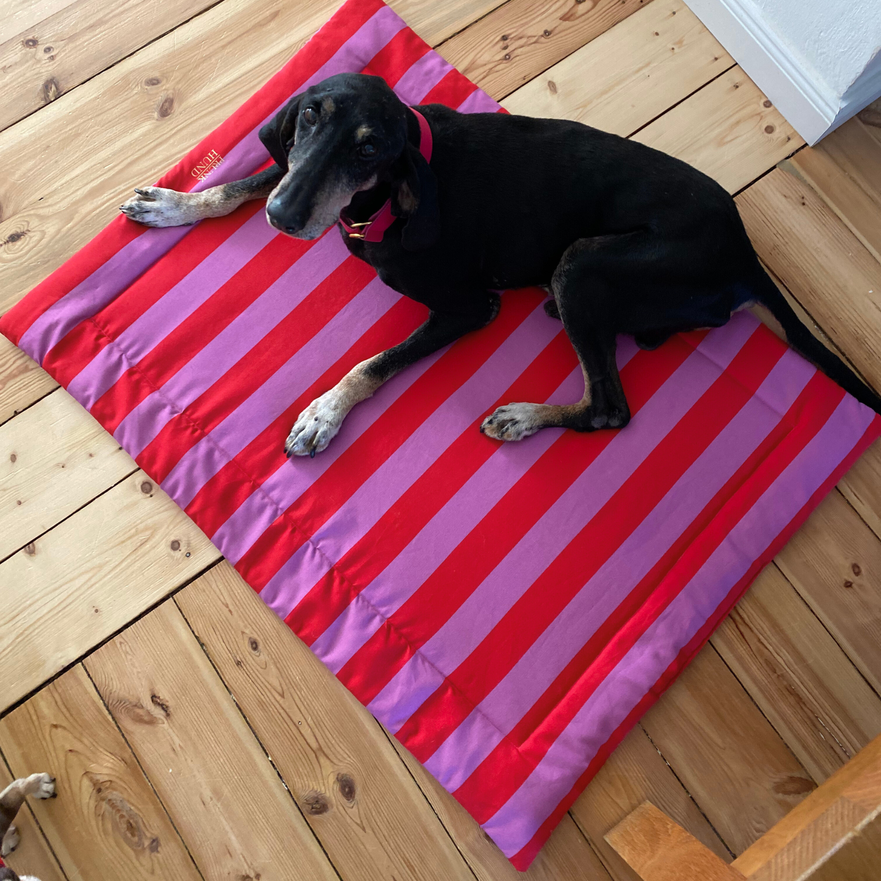 Hundedecke CAPRI pink