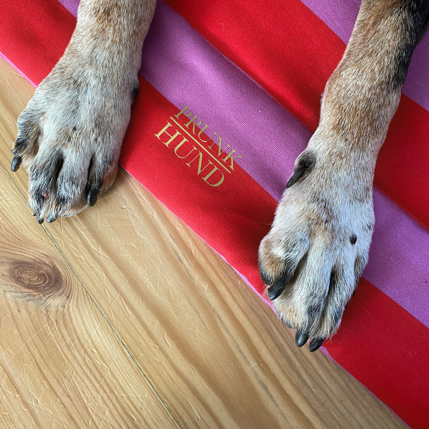 Hundedecke CAPRI pink