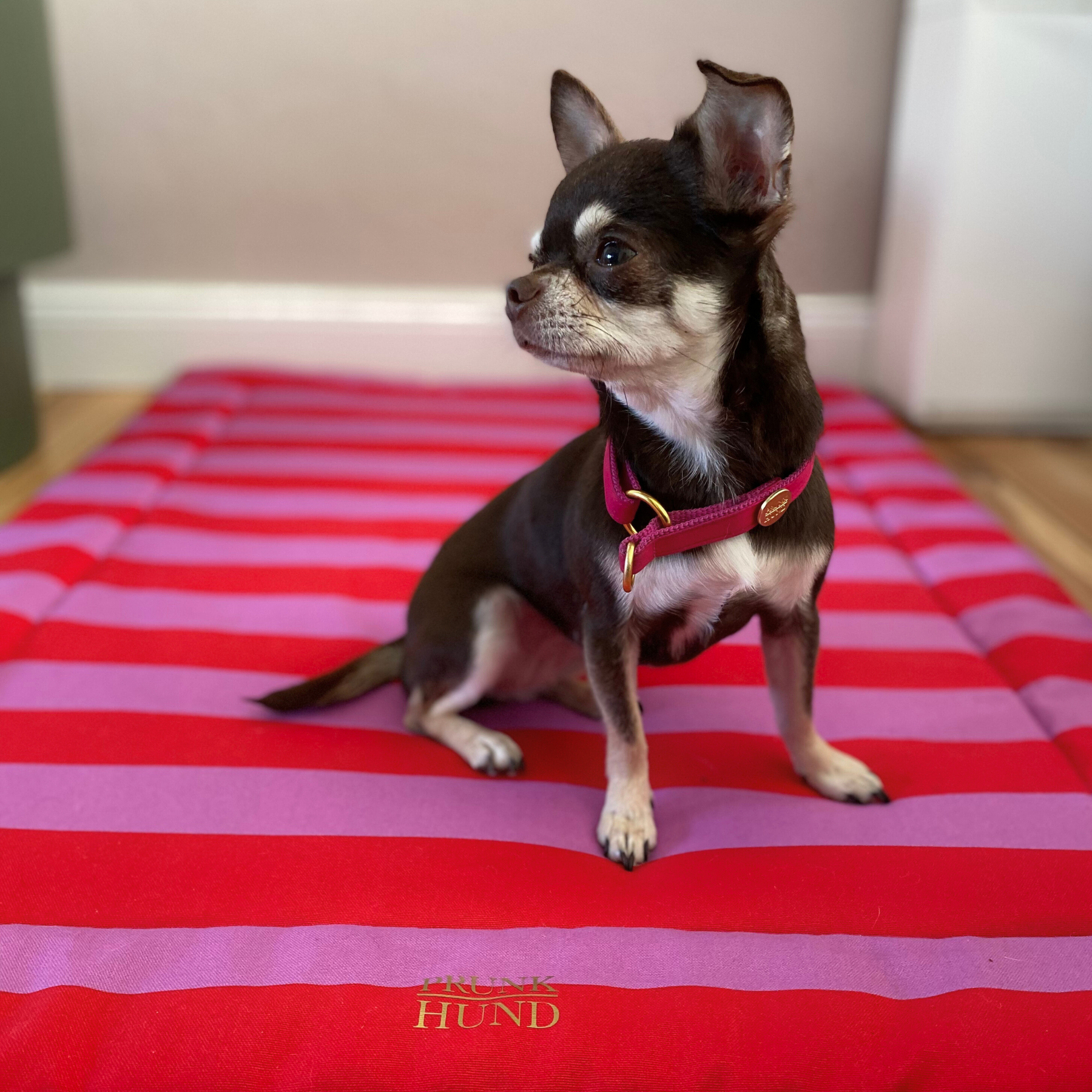 Hundedecke CAPRI pink