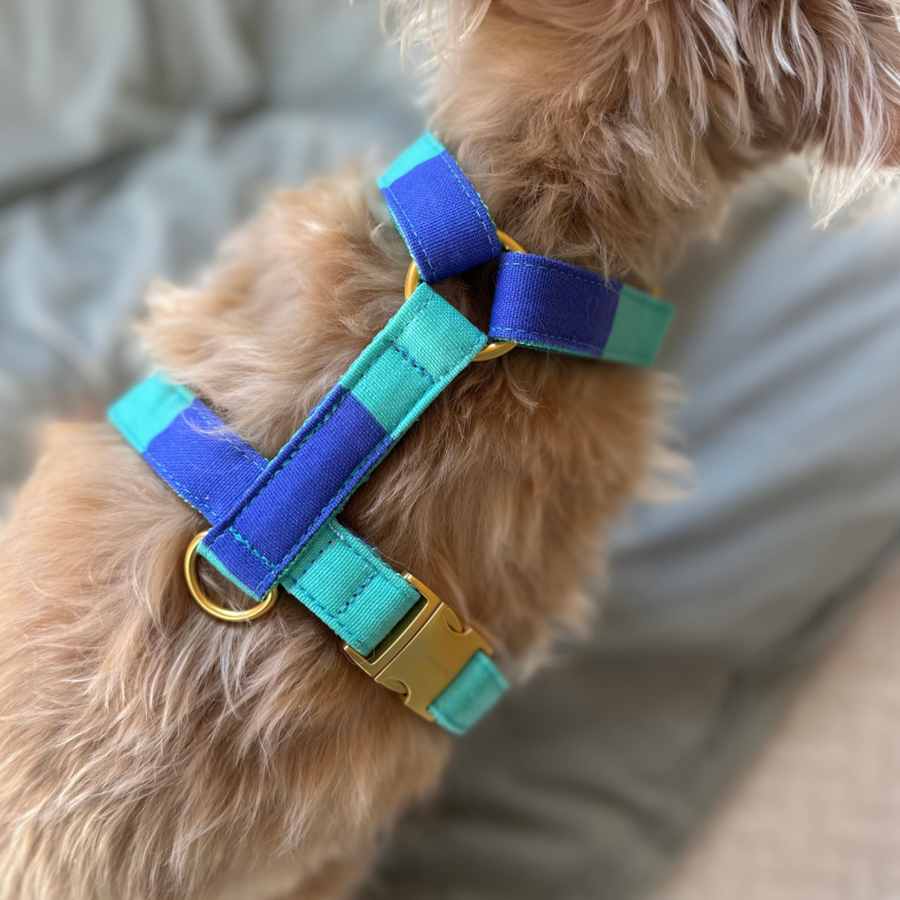 dog harness CAPRI mint