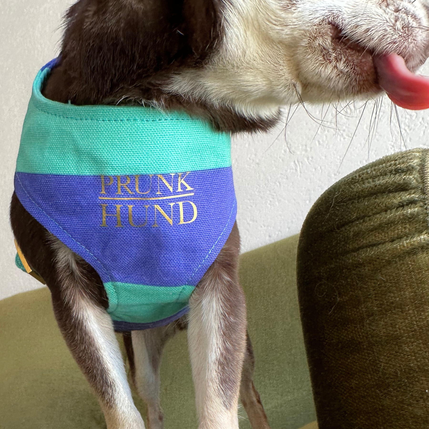 Softgeschirr CAPRI mint