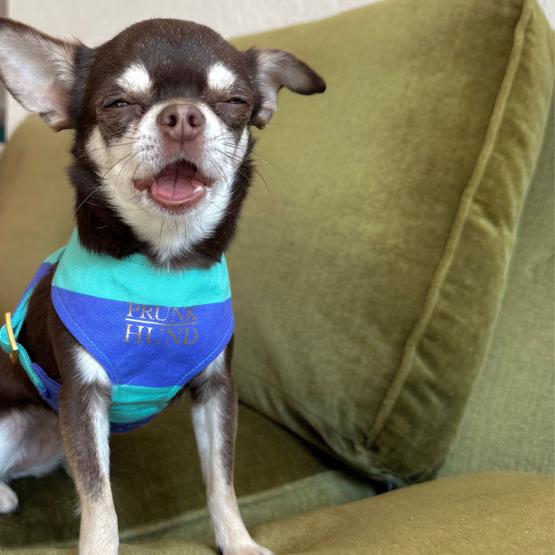 CAPRI mint SOFT HARNESS