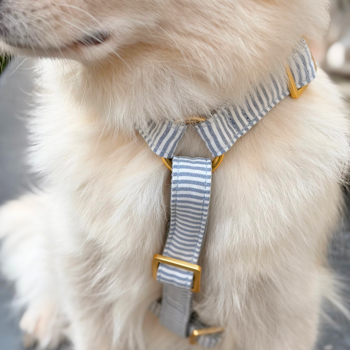 Hundegeschirr RIVIERA blue