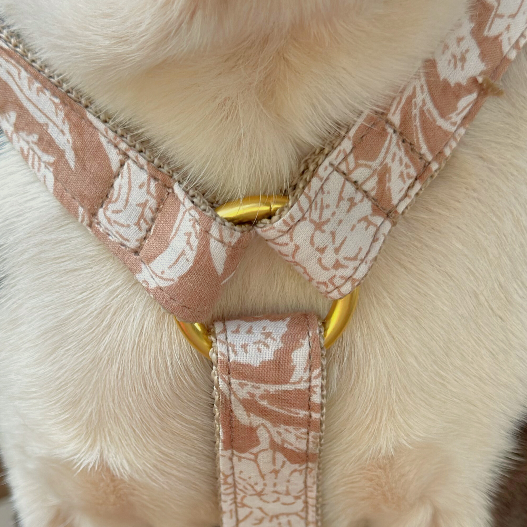 Hundegeschirr GOA sand