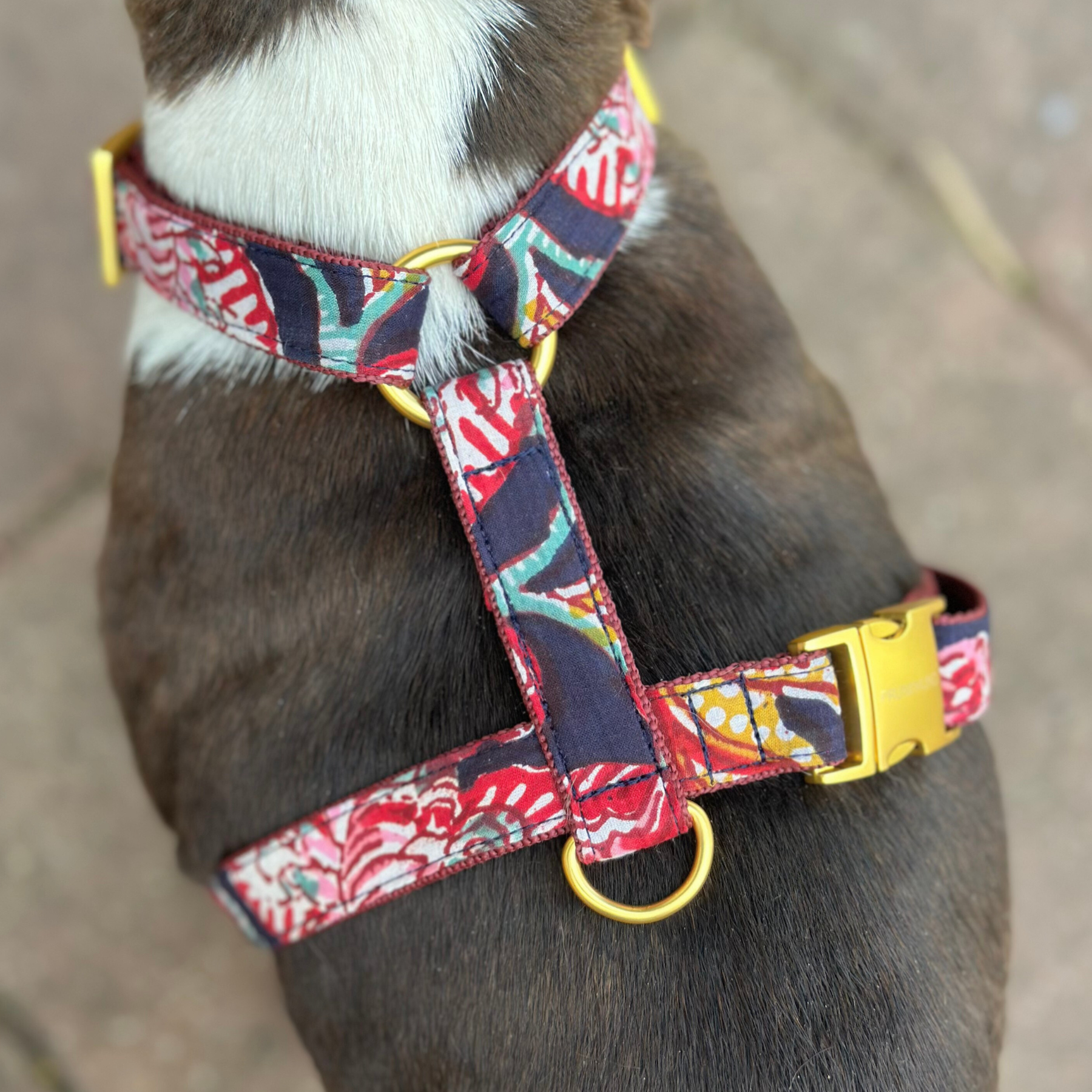 Hundegeschirr GOA midnight