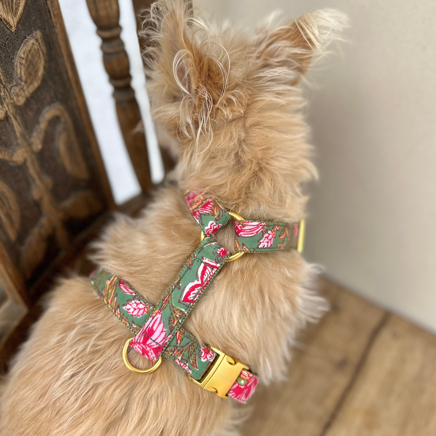 Hundegeschirr GOA garden