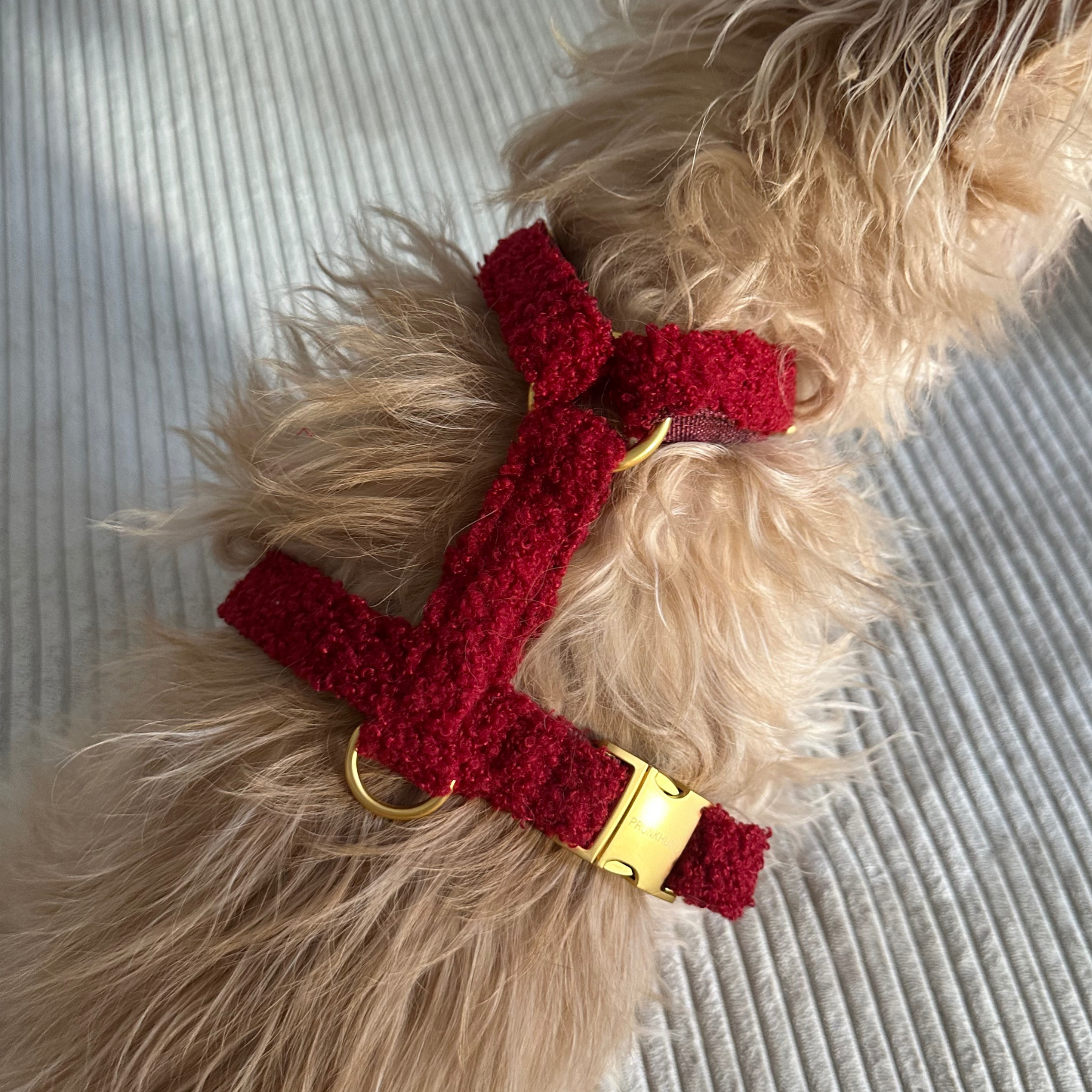 dog harness TEDDY tan