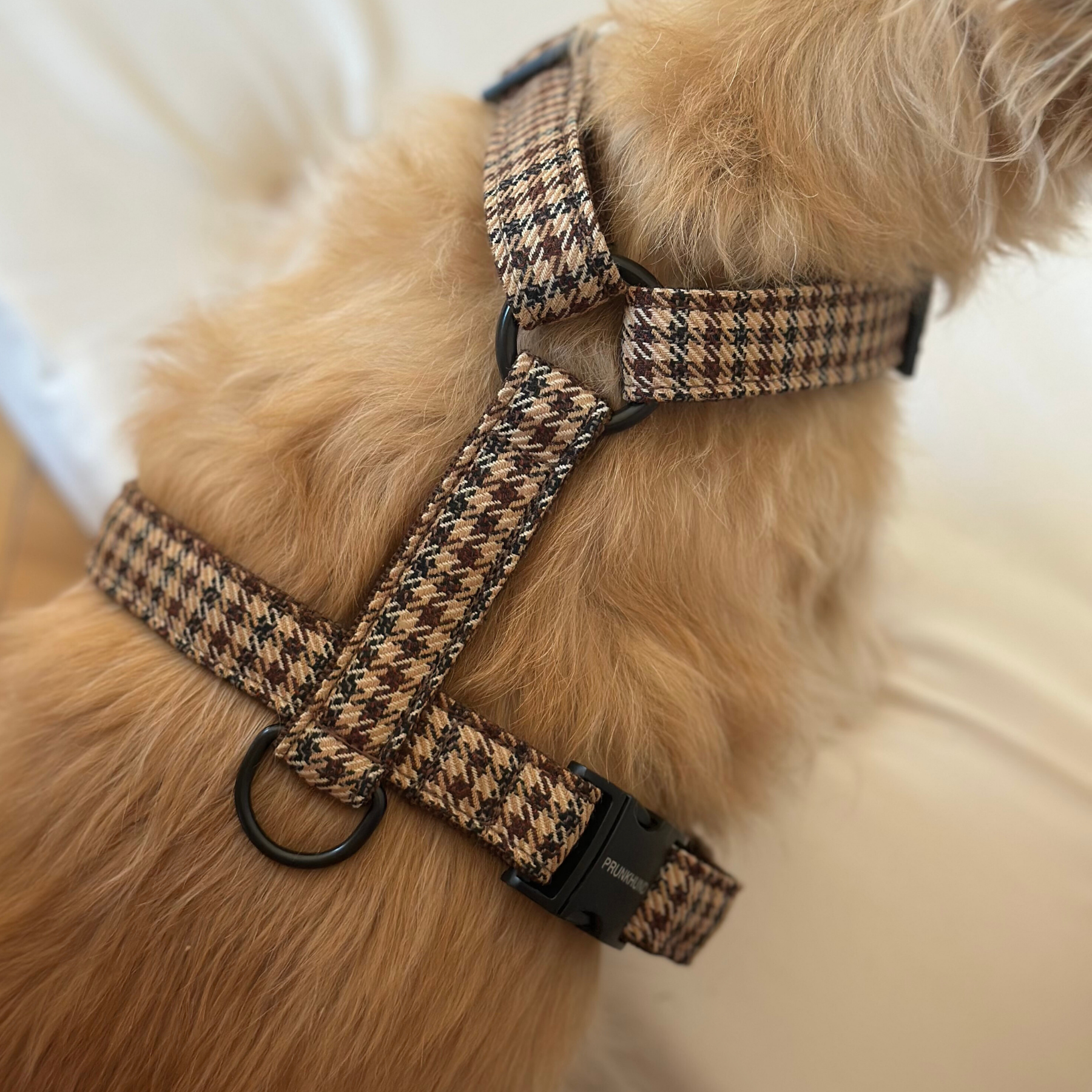 Hundegeschirr TWEED