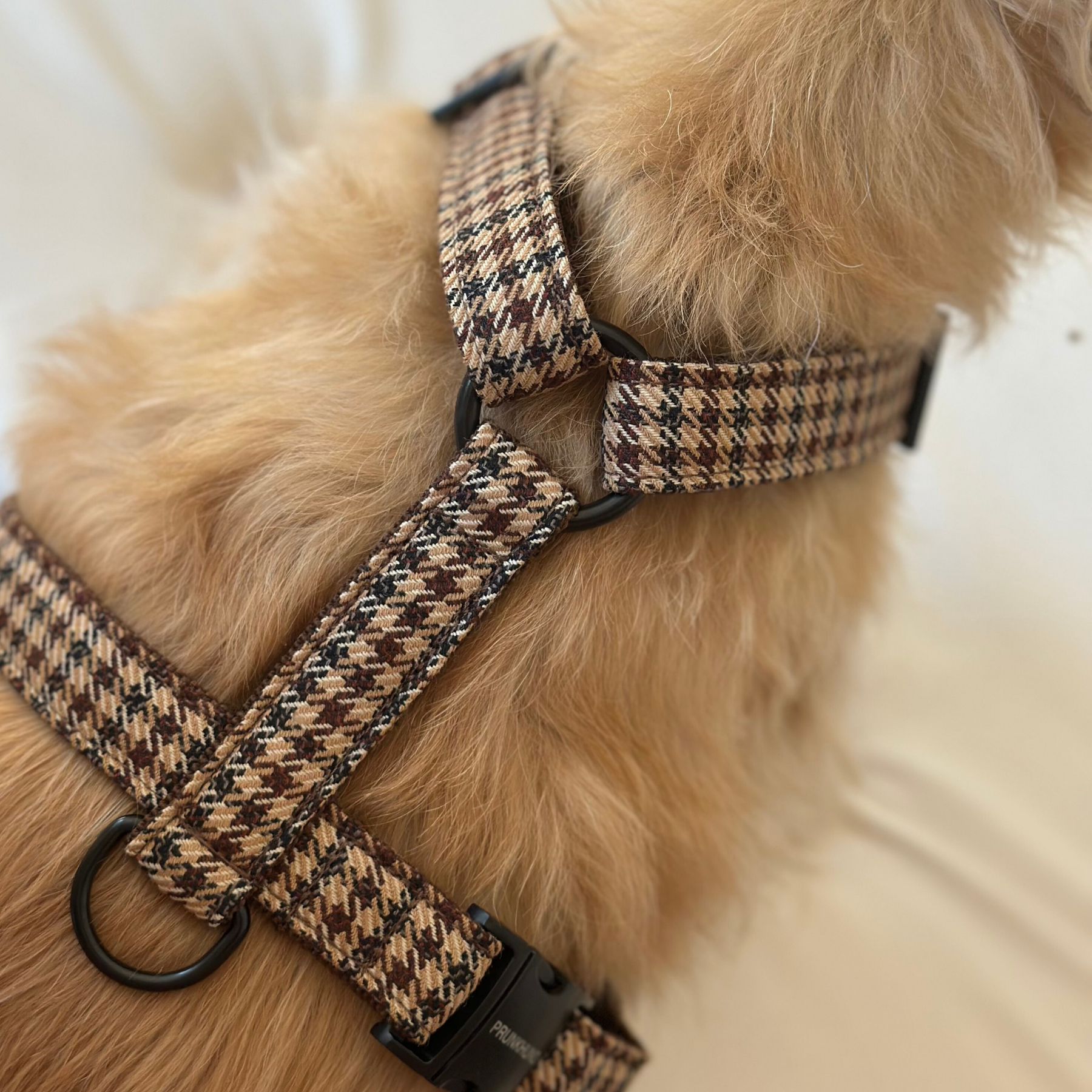 Hundegeschirr TWEED