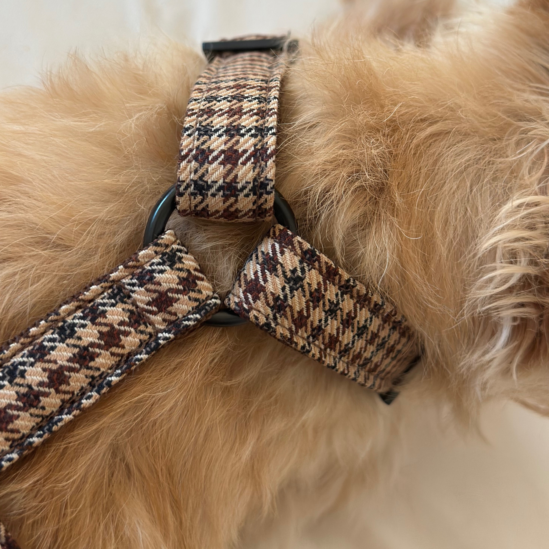 Hundegeschirr TWEED