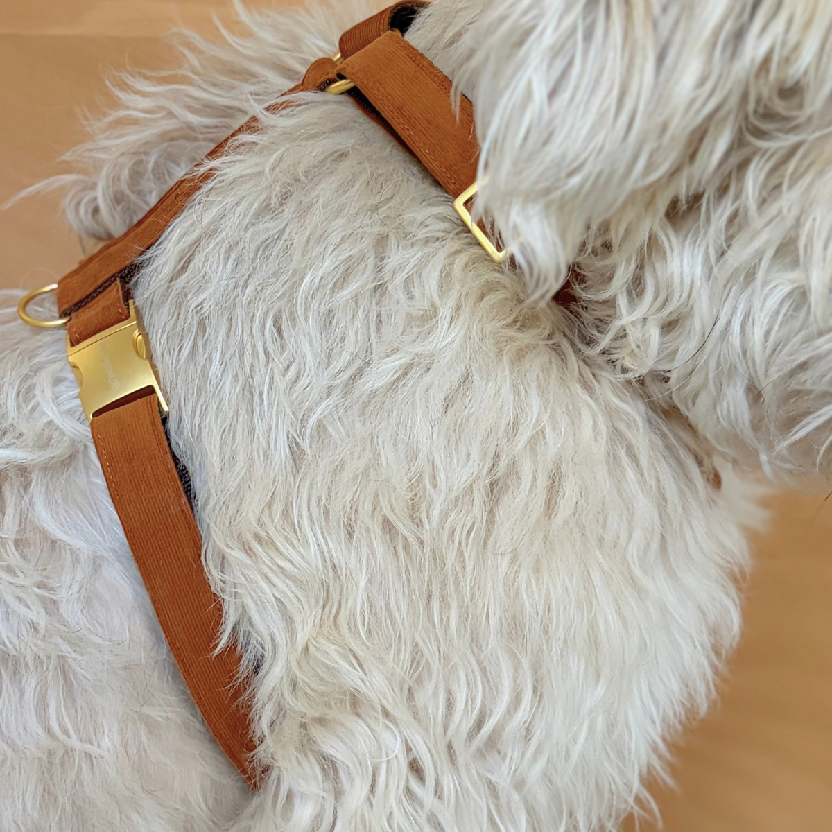 Dog harness WILD LIFE
