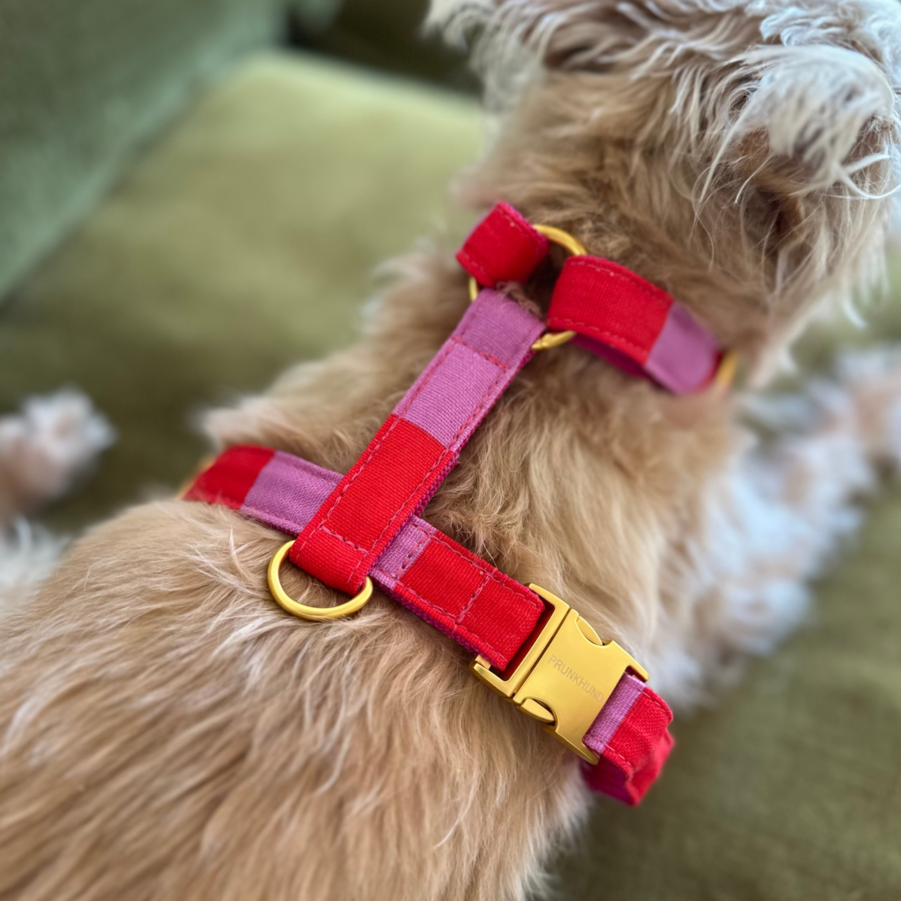 Hundegeschirr CAPRI pink