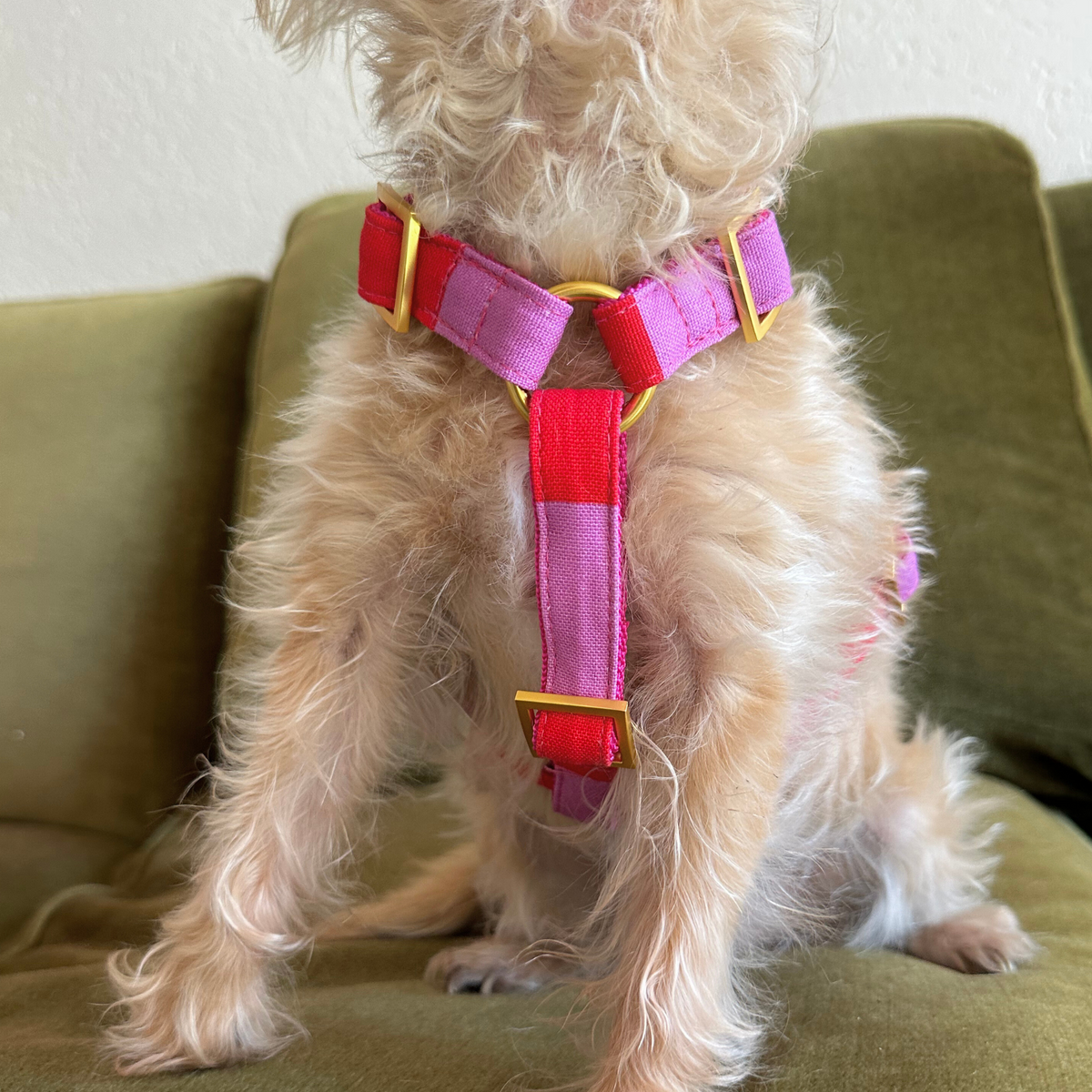 dog harness CAPRI pink