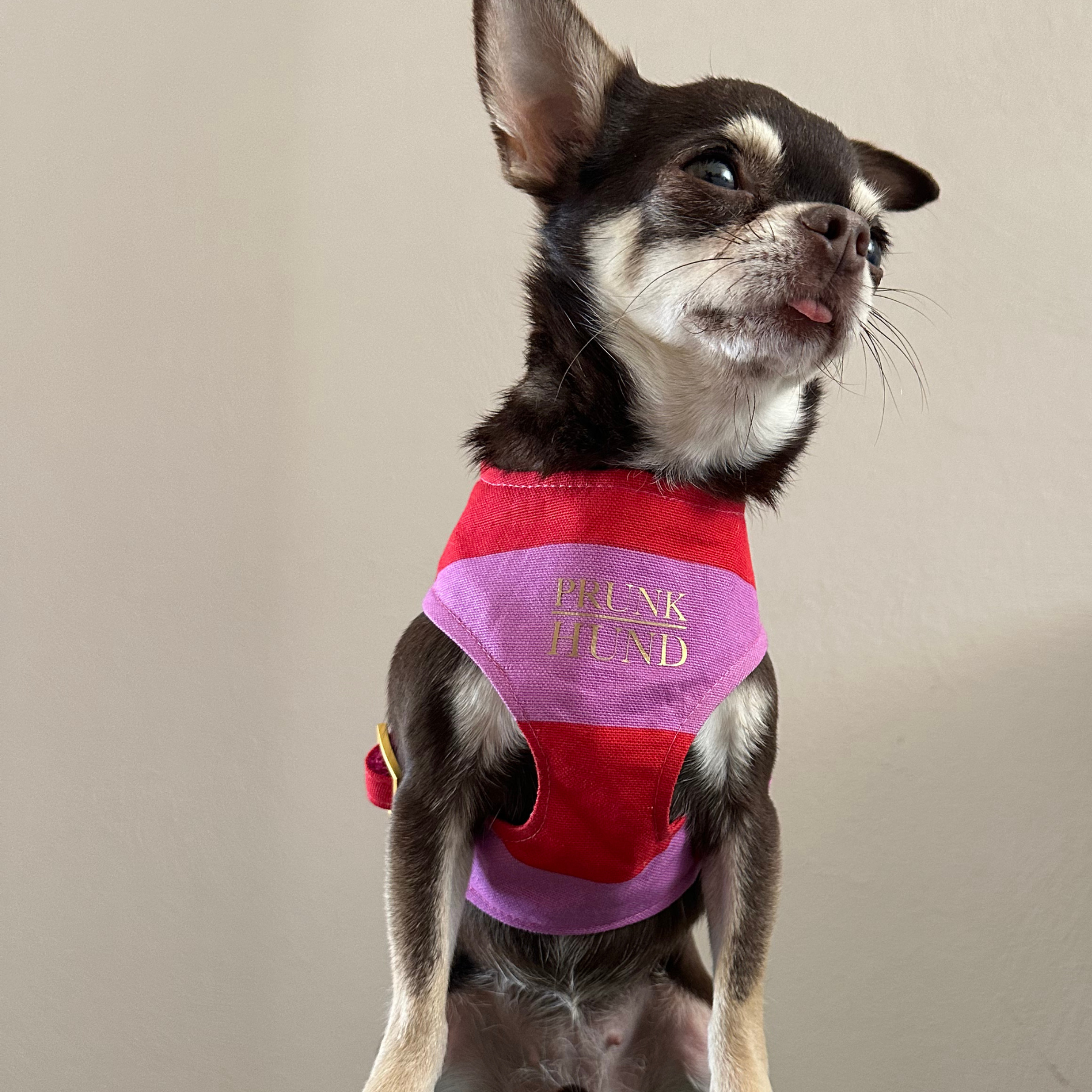 Softgeschirr CAPRI pink