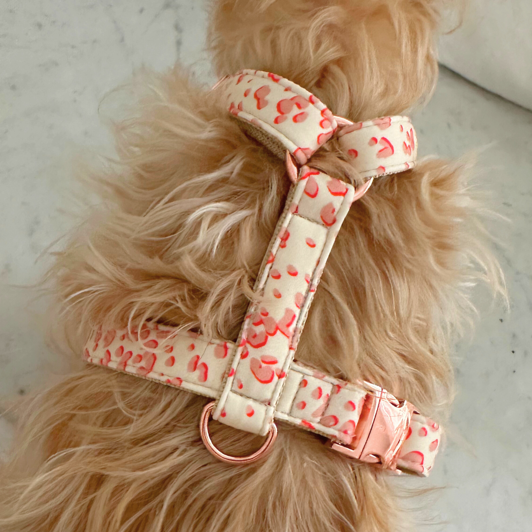 Hundegeschirr CONFETTI