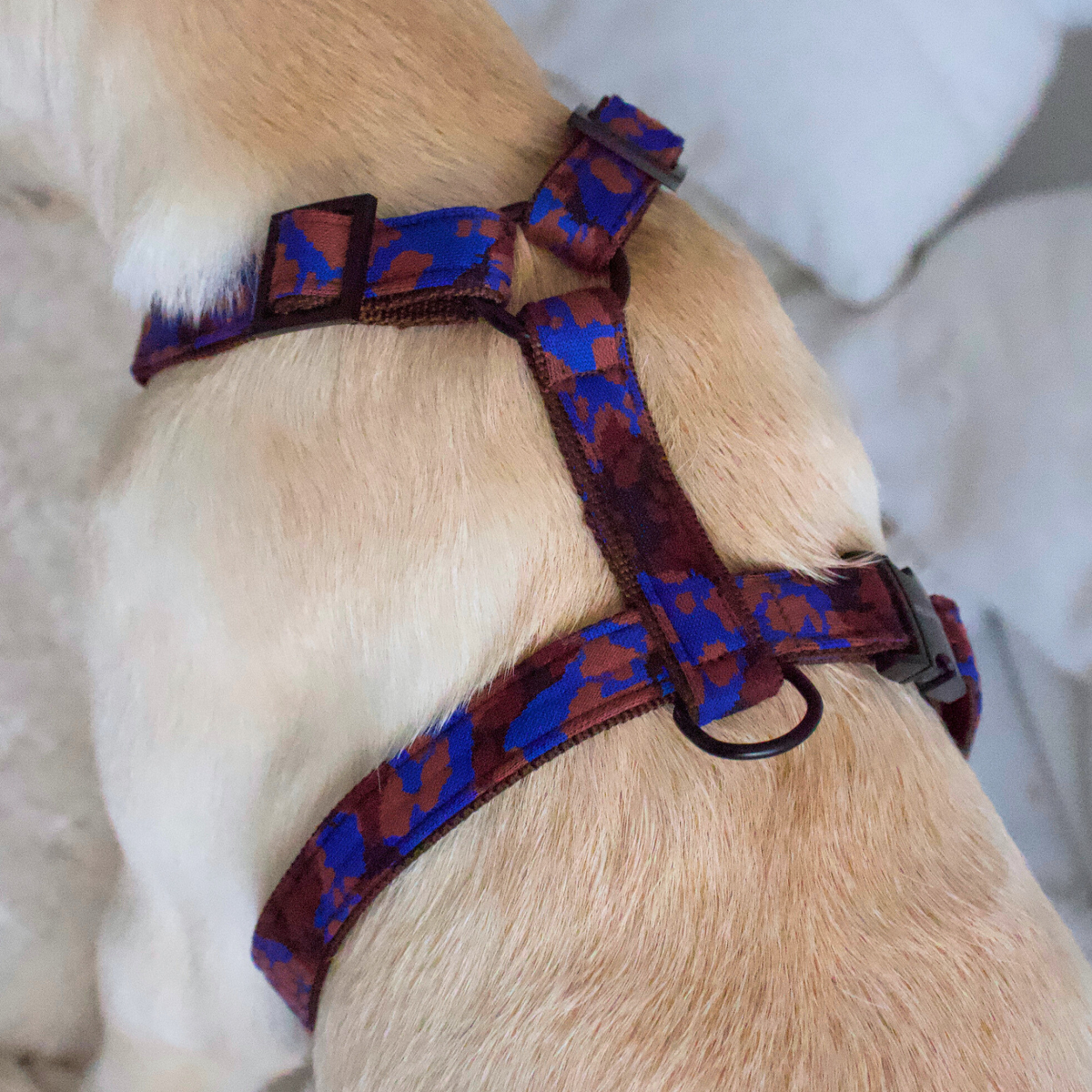 dog harness PORTOBELLO