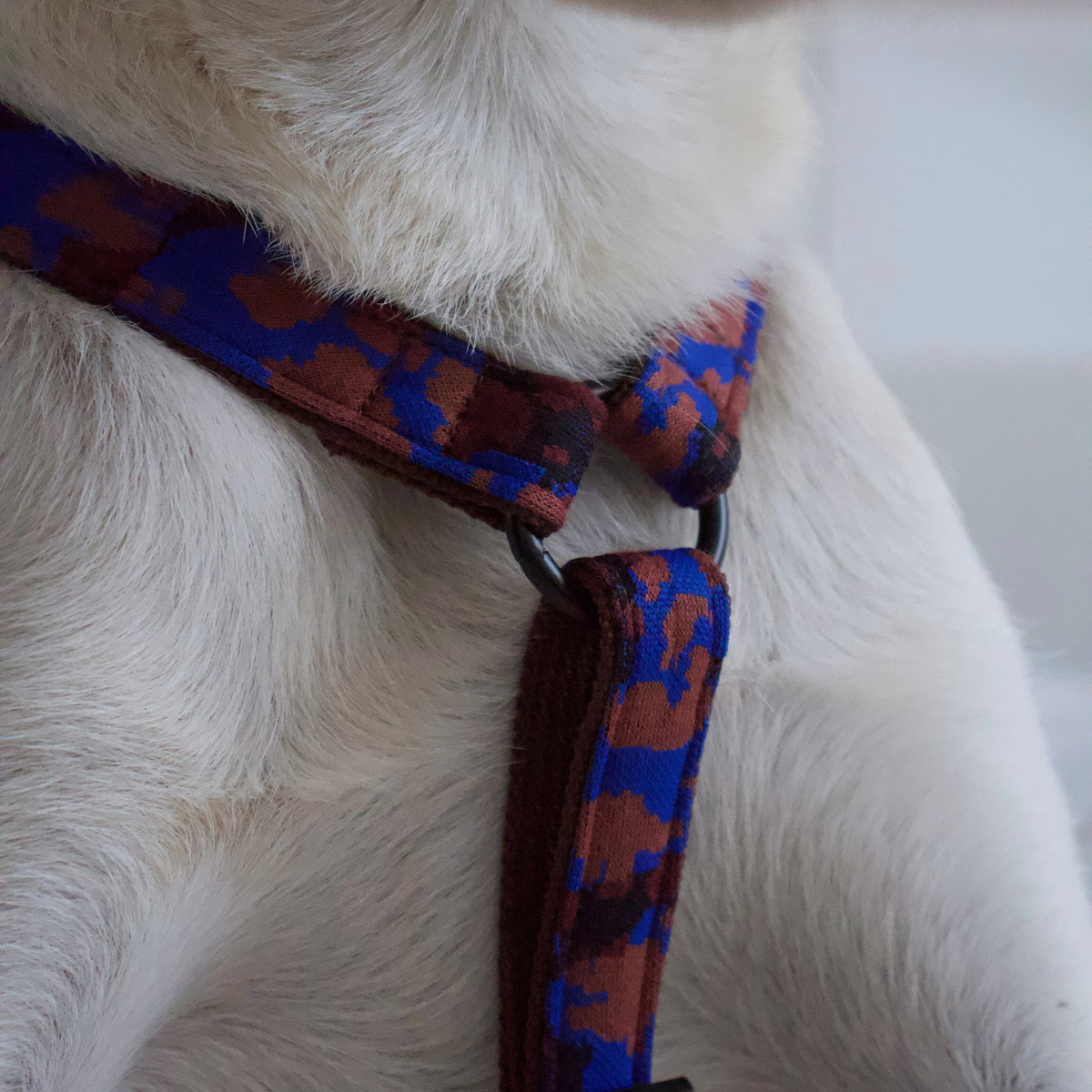 dog harness PORTOBELLO