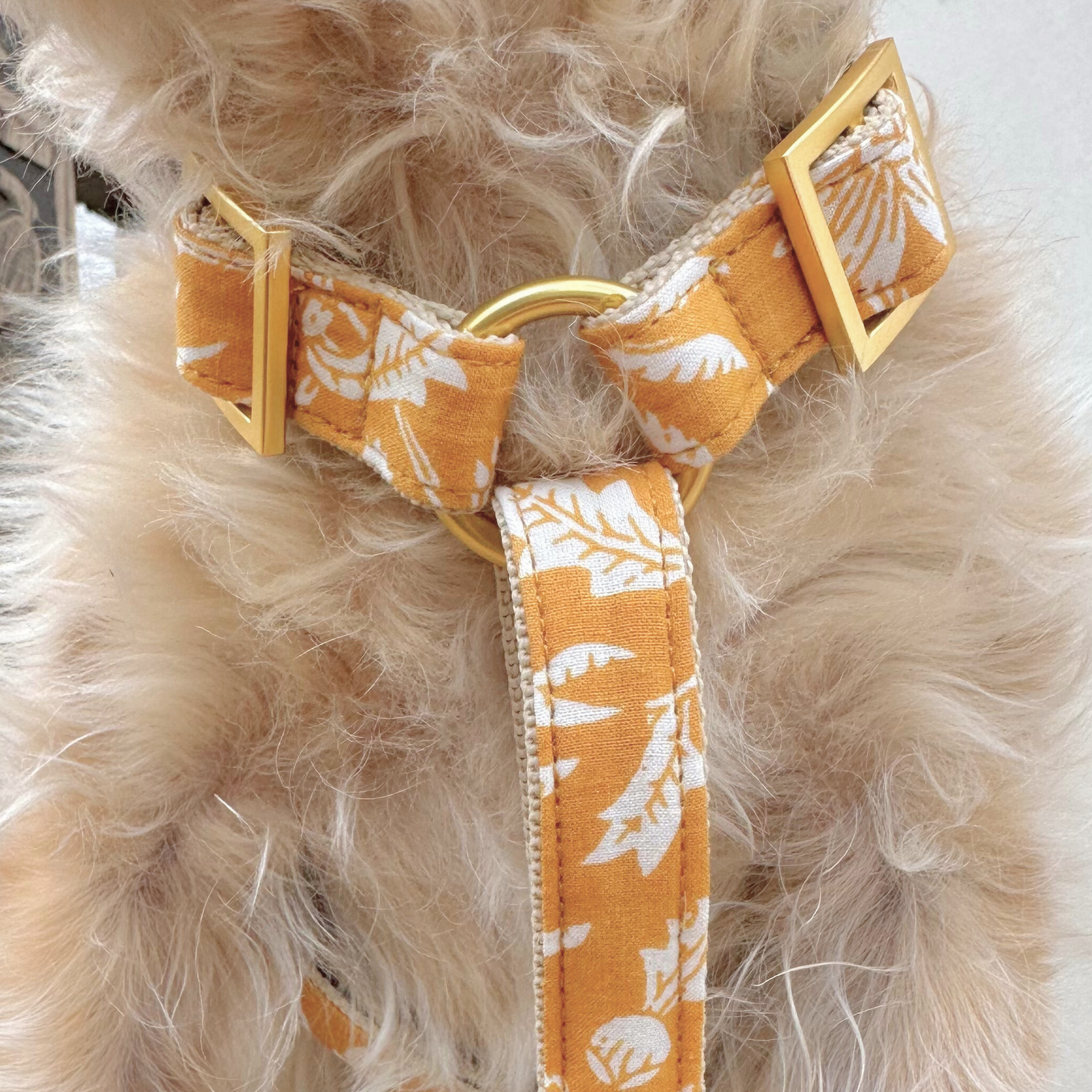 Hundegeschirr GOA curry