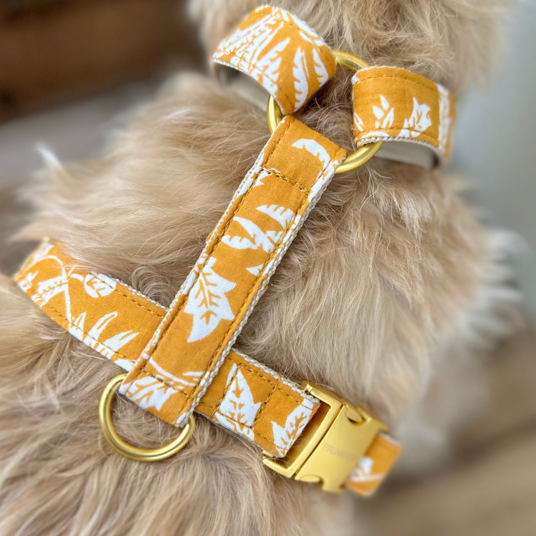 Hundegeschirr GOA curry